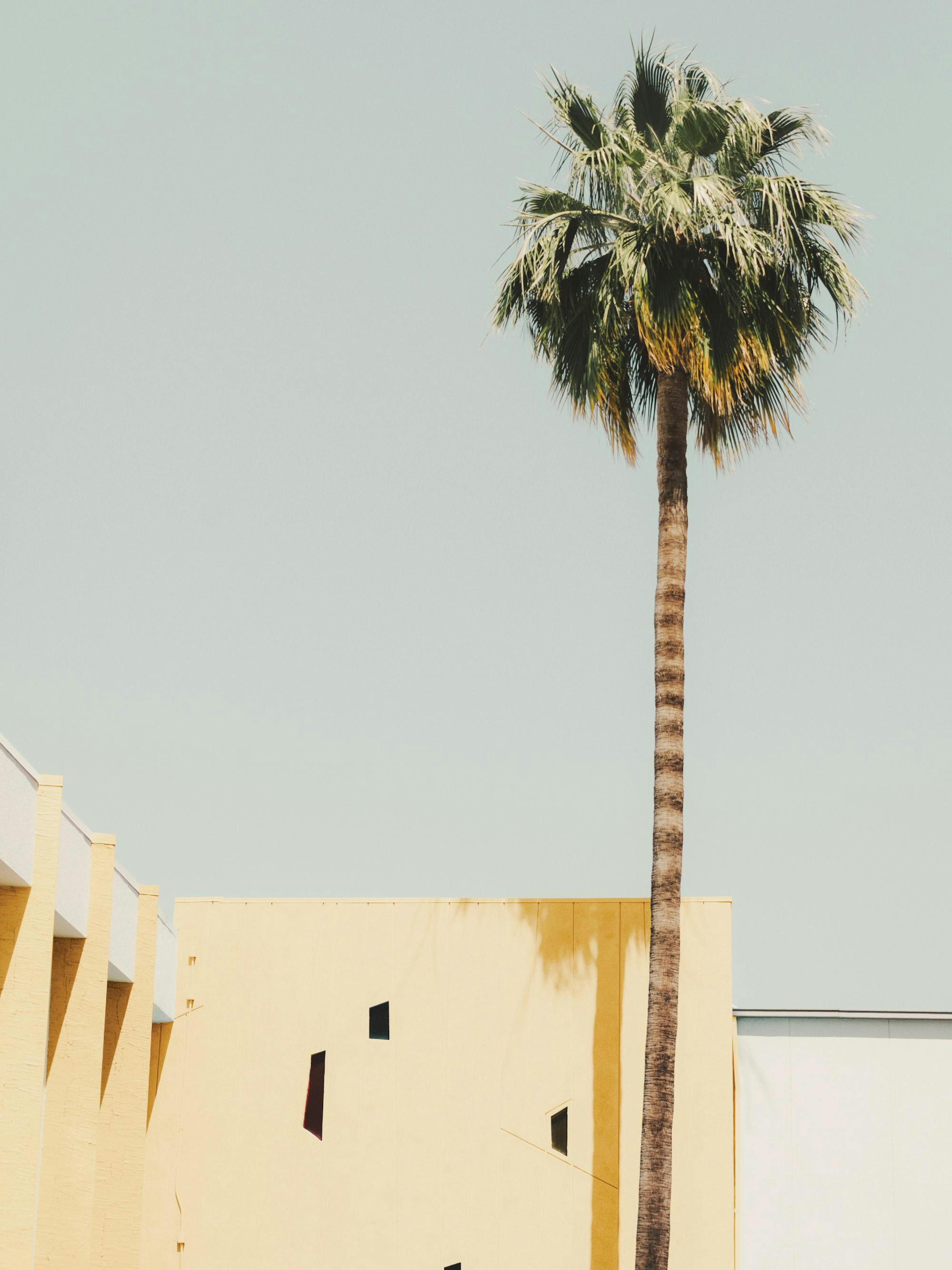 Palm Springs Serenity Plakat 0