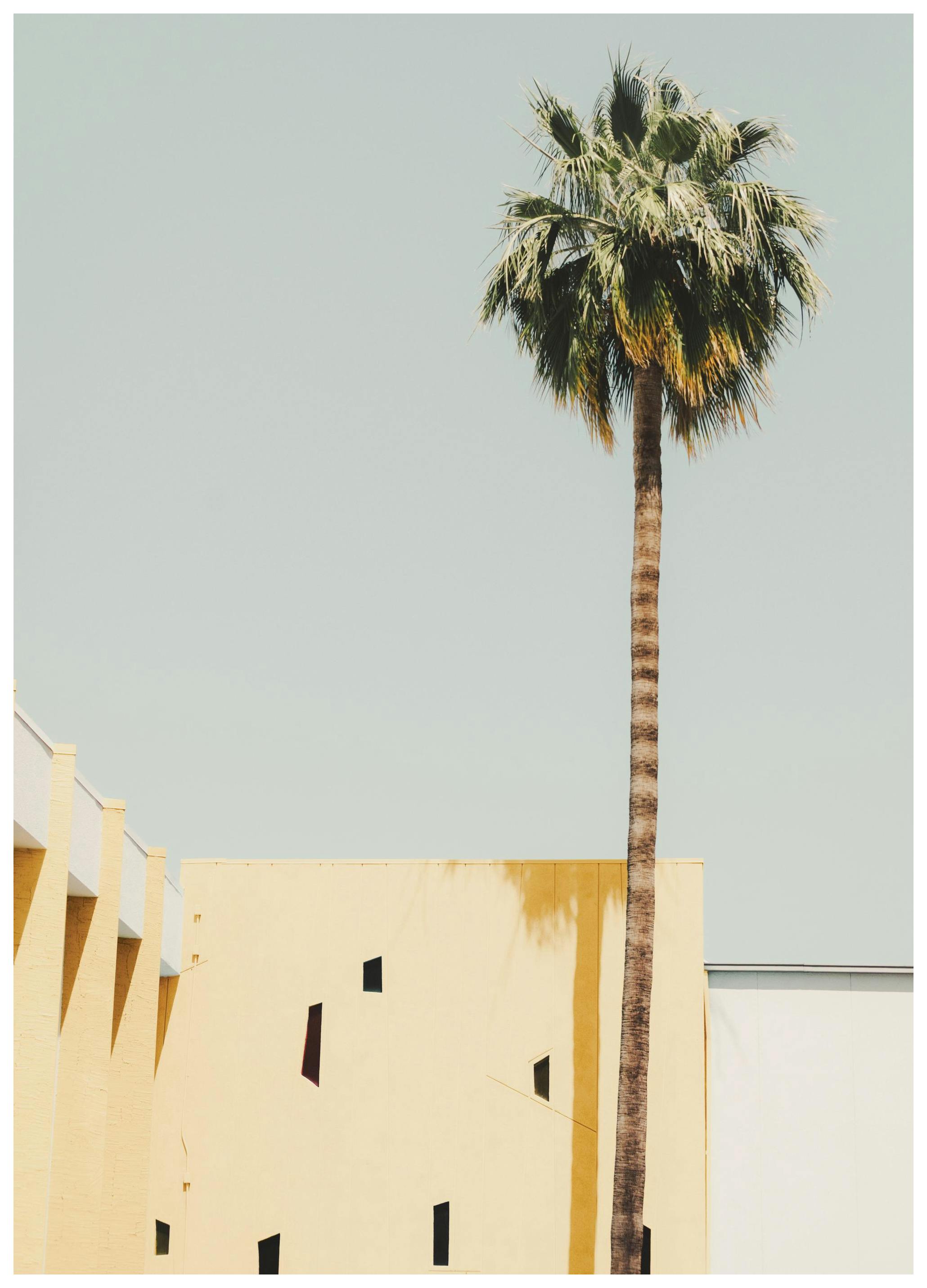 Palm Springs Serenity Poster (30x40 cm) -  Fotografien