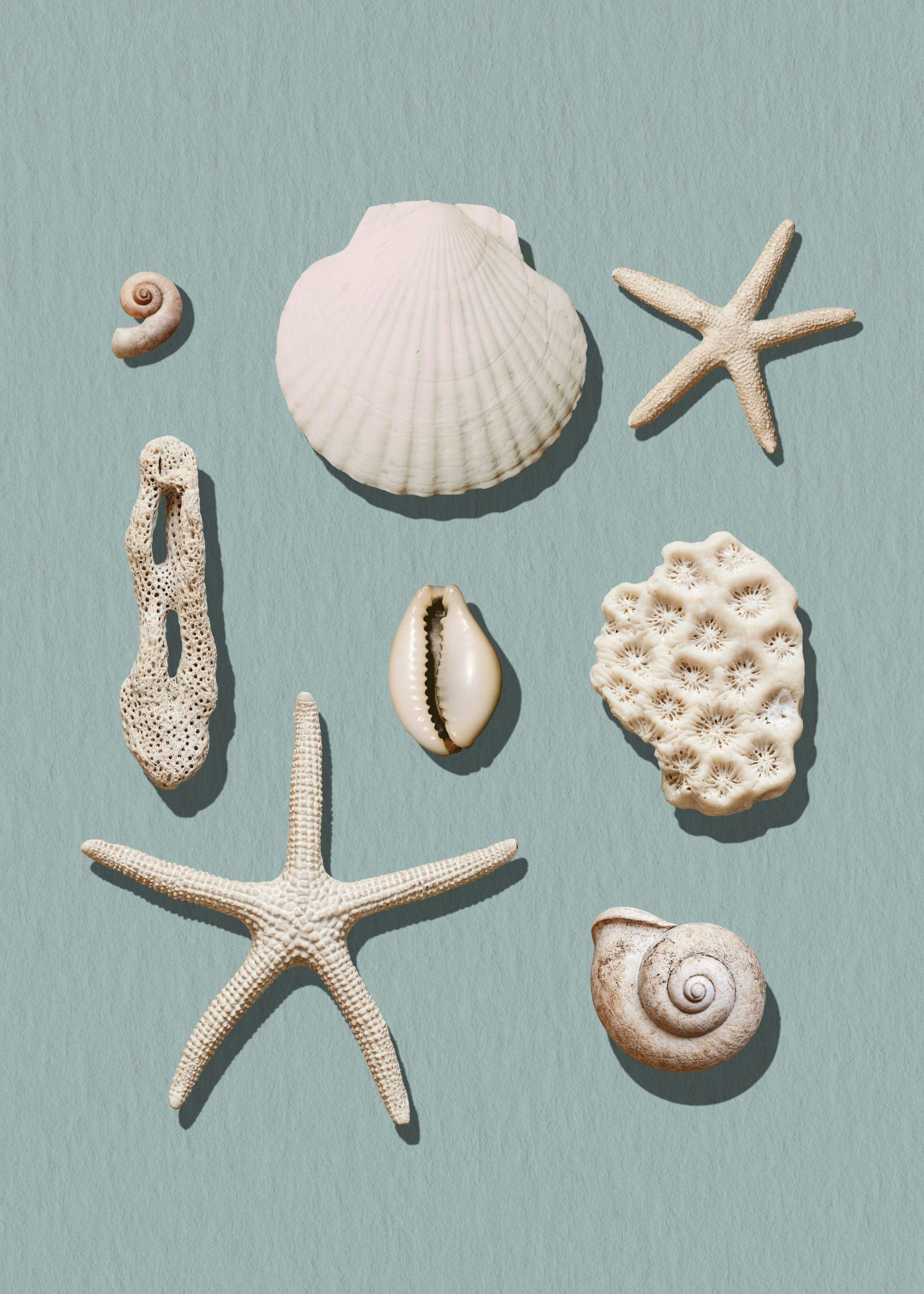 Marine Memories Poster 0