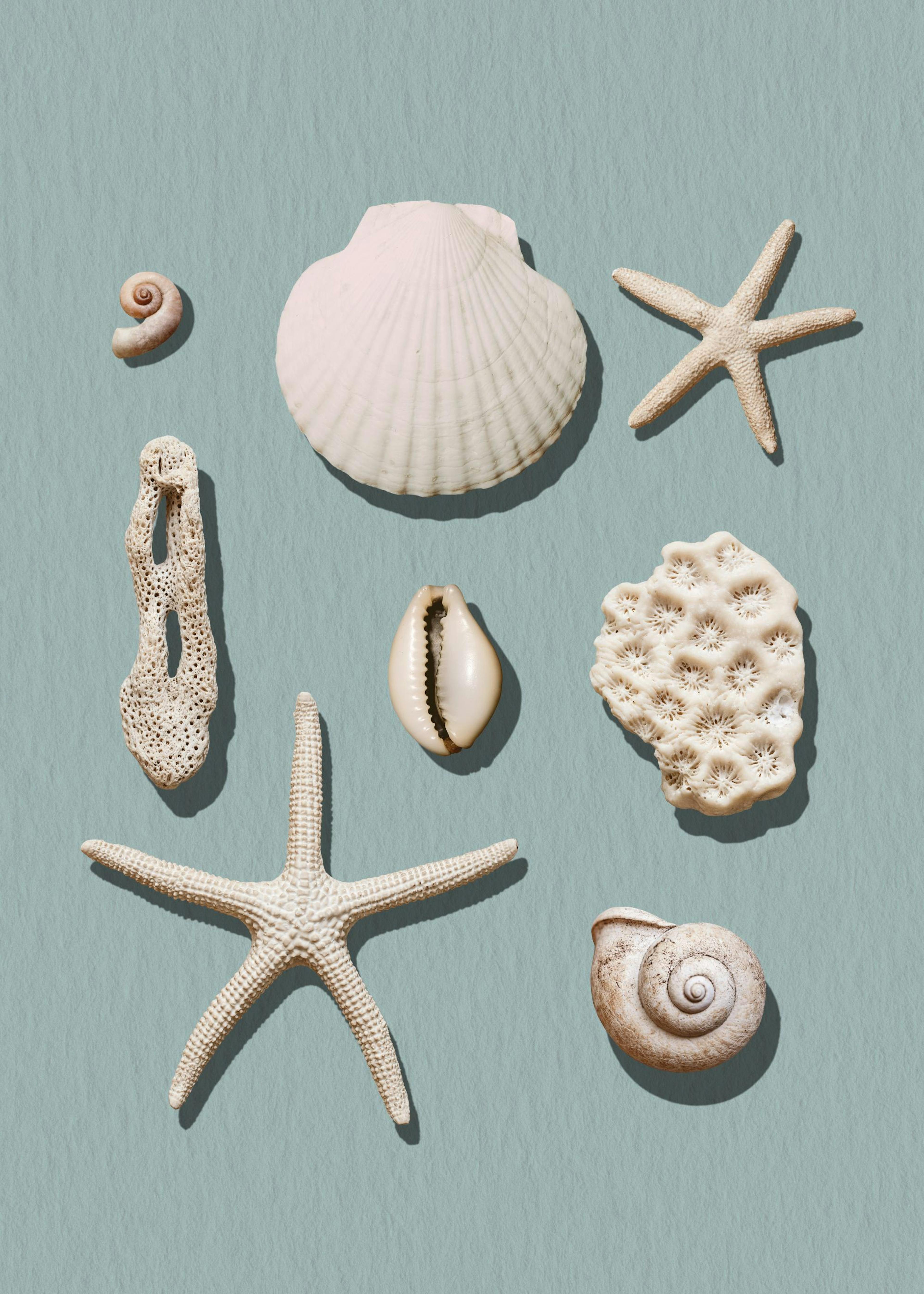 Marine Memories Poster 0