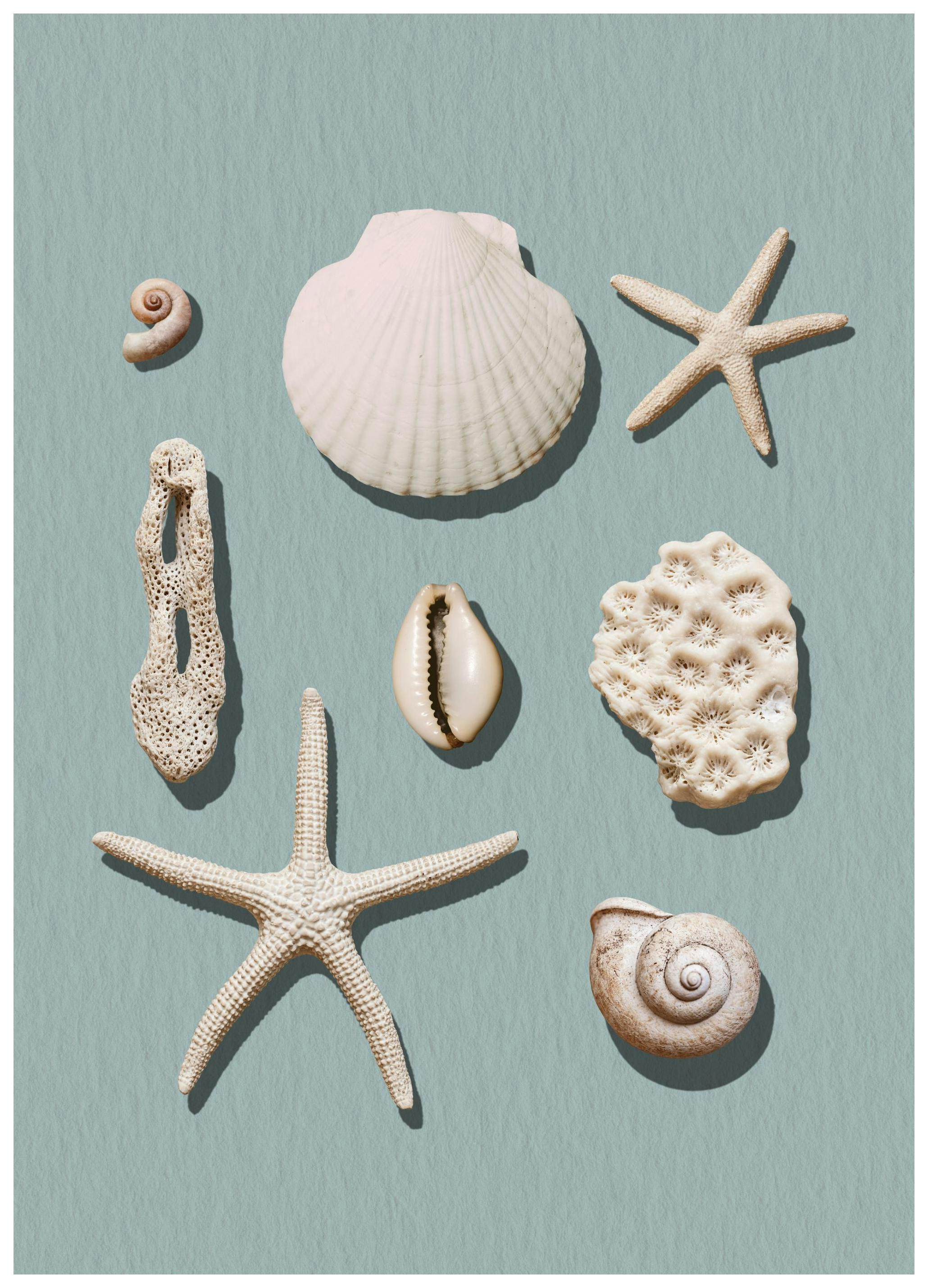 Prints - Marine Memories Print (30x40 cm) - Photography prints