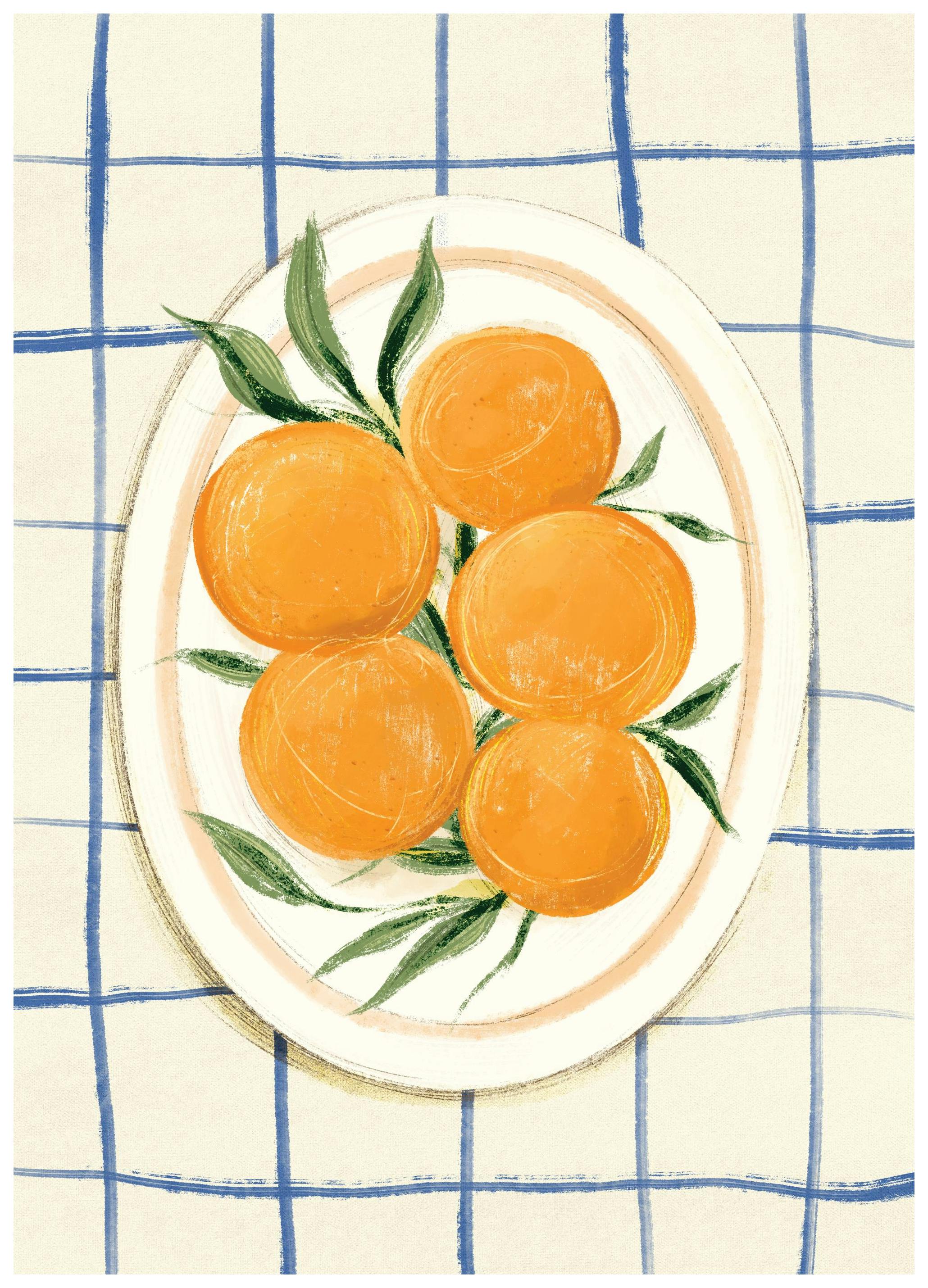Citrus on Checkers Poster (30x40 cm)- Poster per la cucina