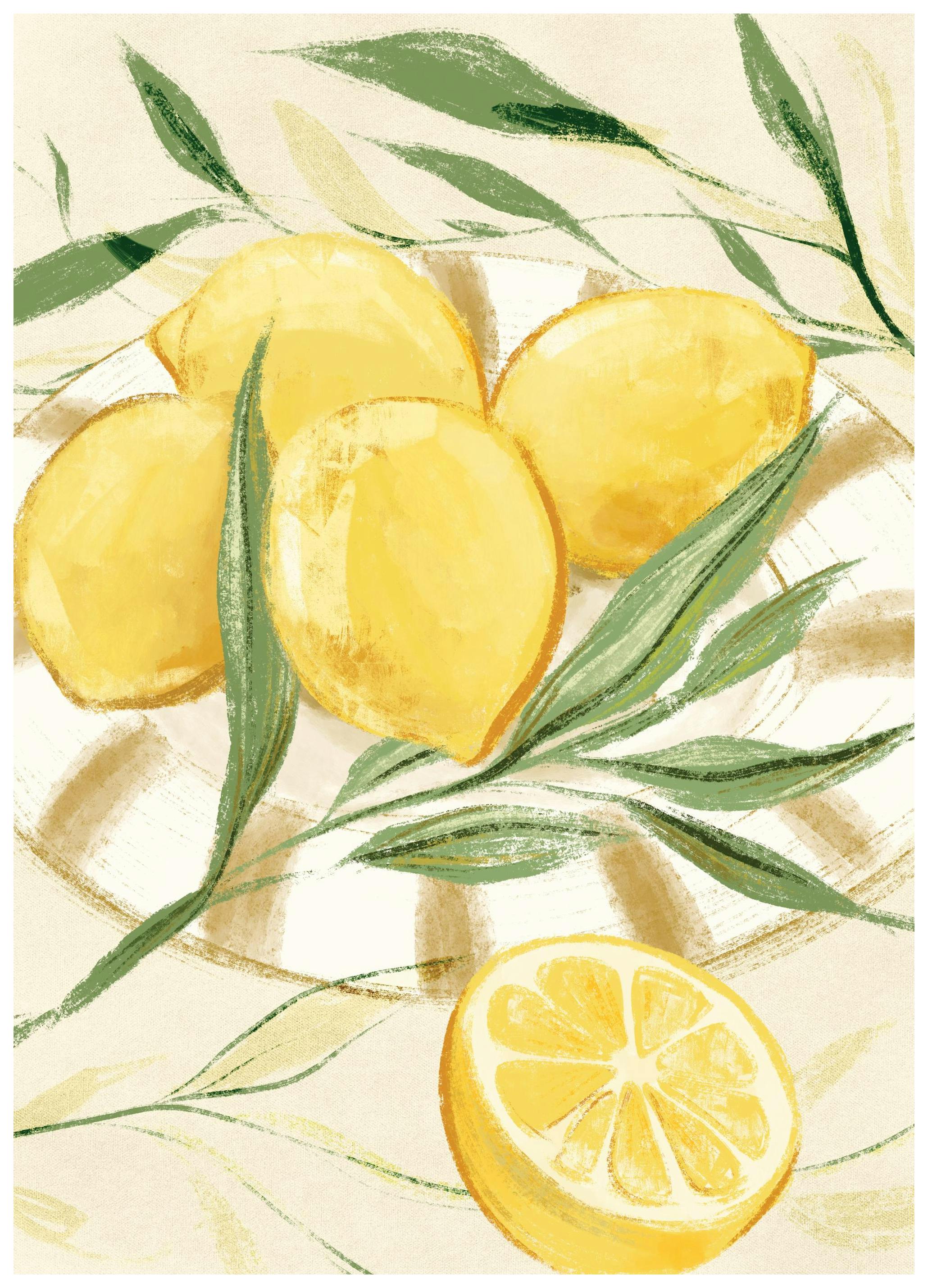 Lemon Hervest Poster (50x70 cm)- Arte e quadros do cozinha