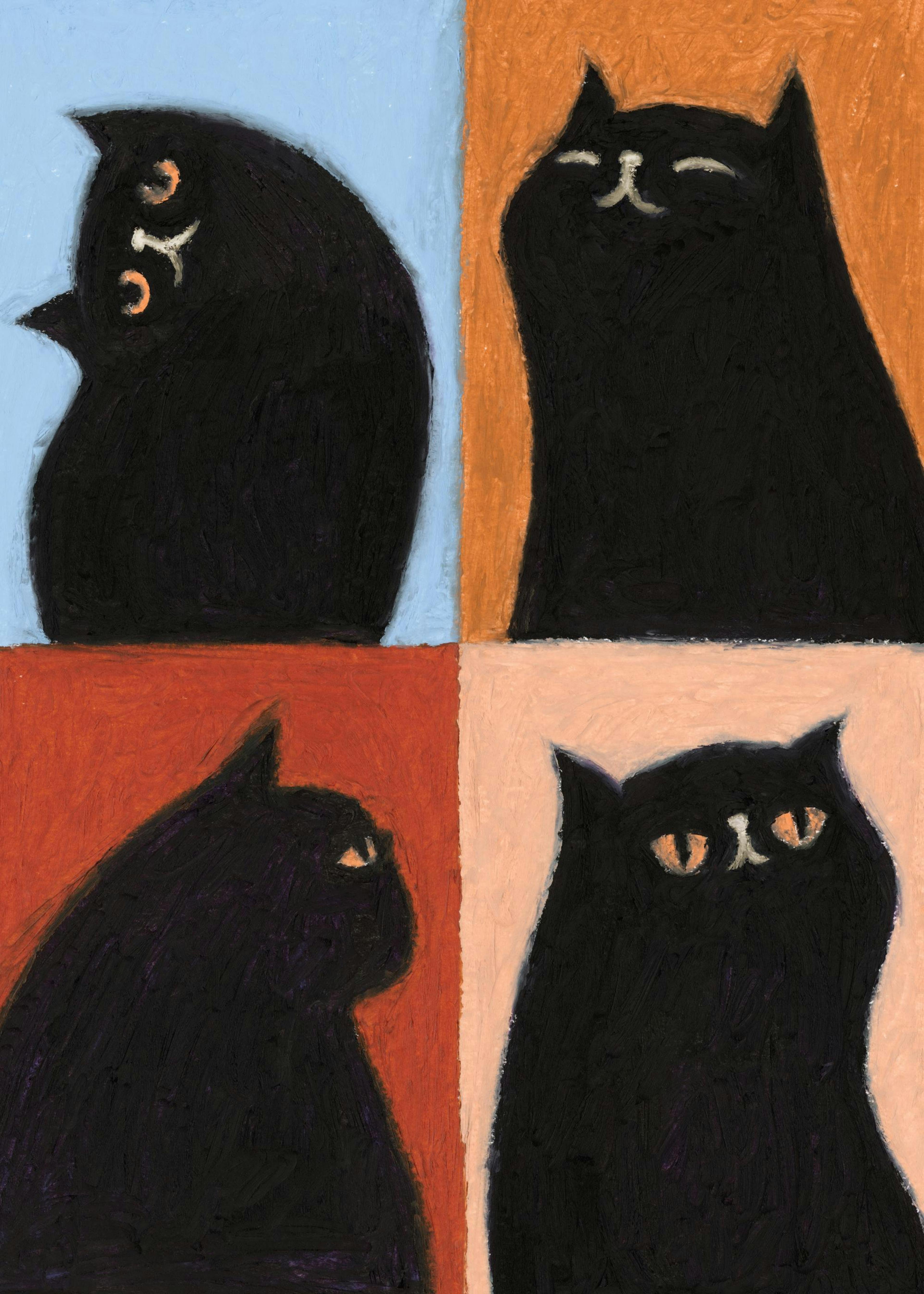 Black Cat Quadrant Poster 0