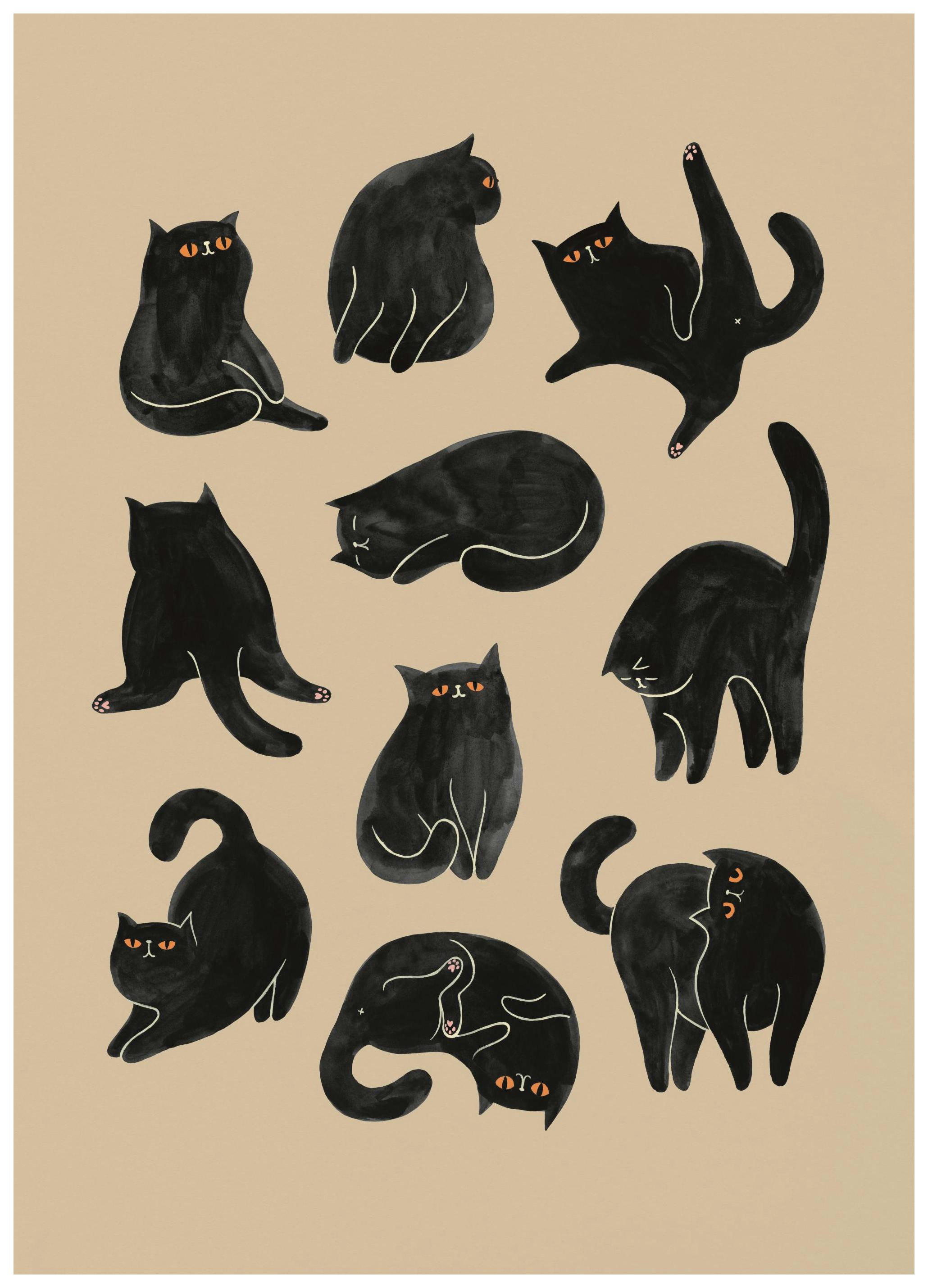 Kitty Yoga Affiche (50x70 cm)  Animaux illustrés