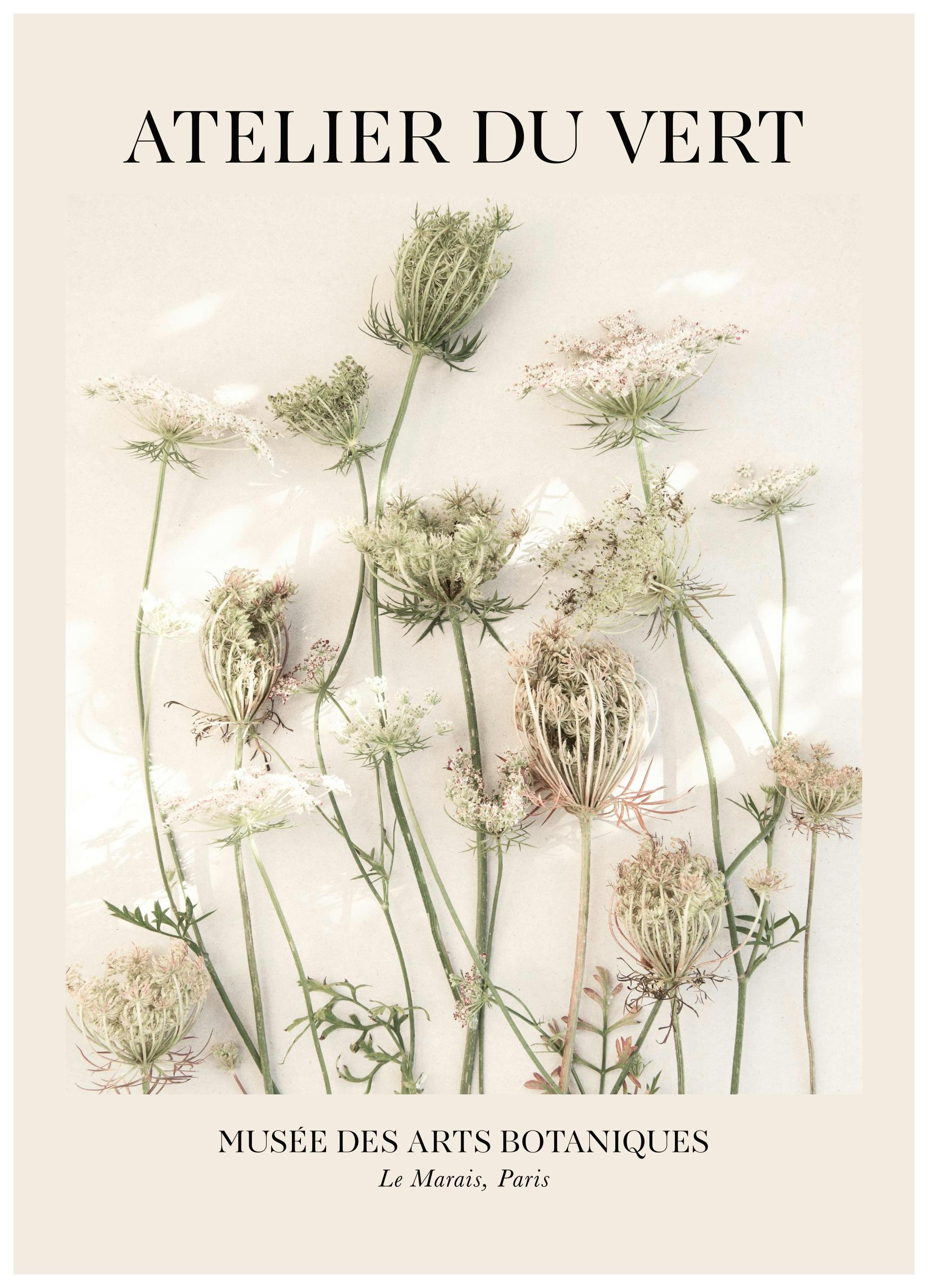 Atelier du Vert No2 Plakat (50x70 cm)- Plakaty botaniczne