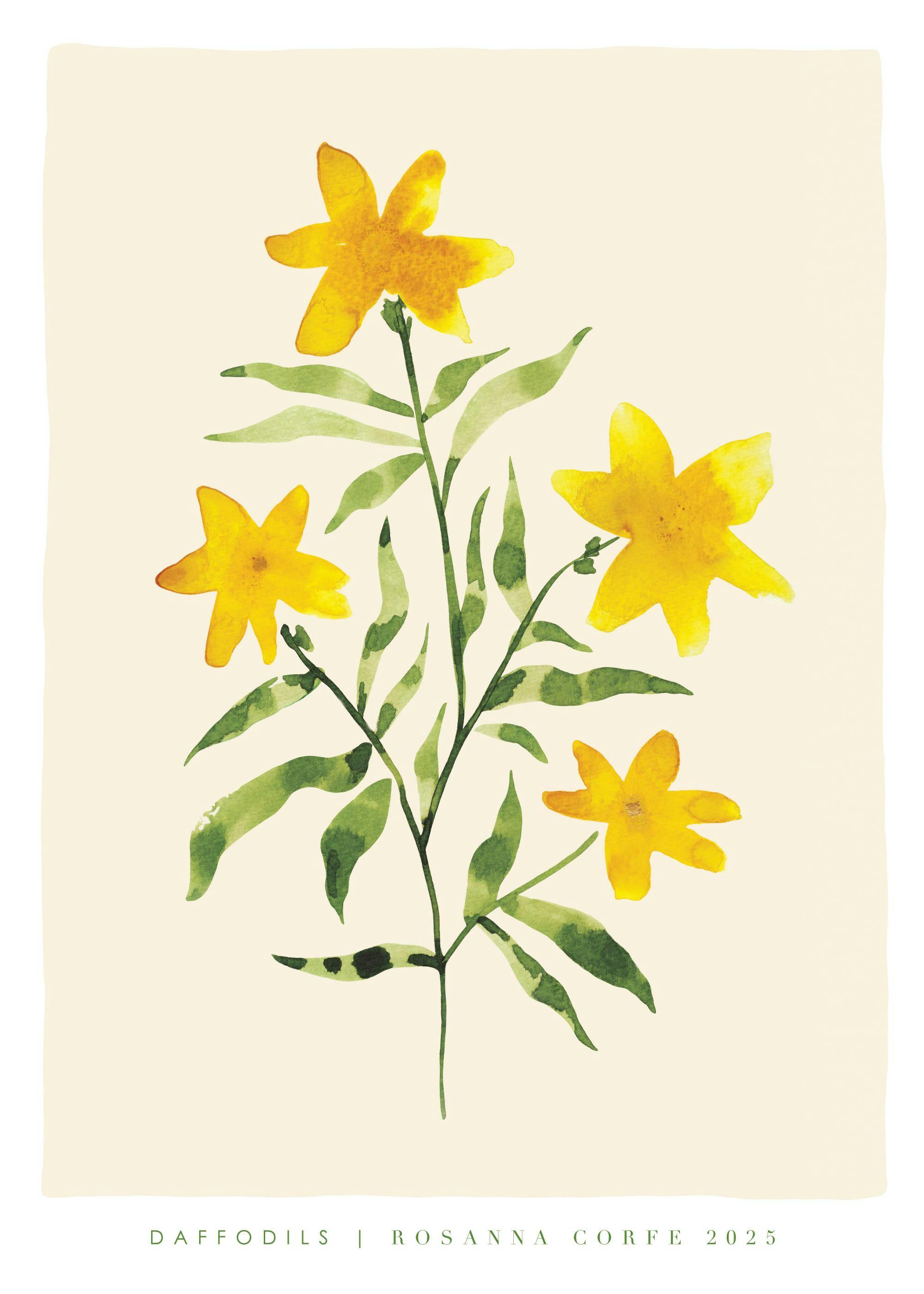 Rosanna Corfe - Daffodils Print 0