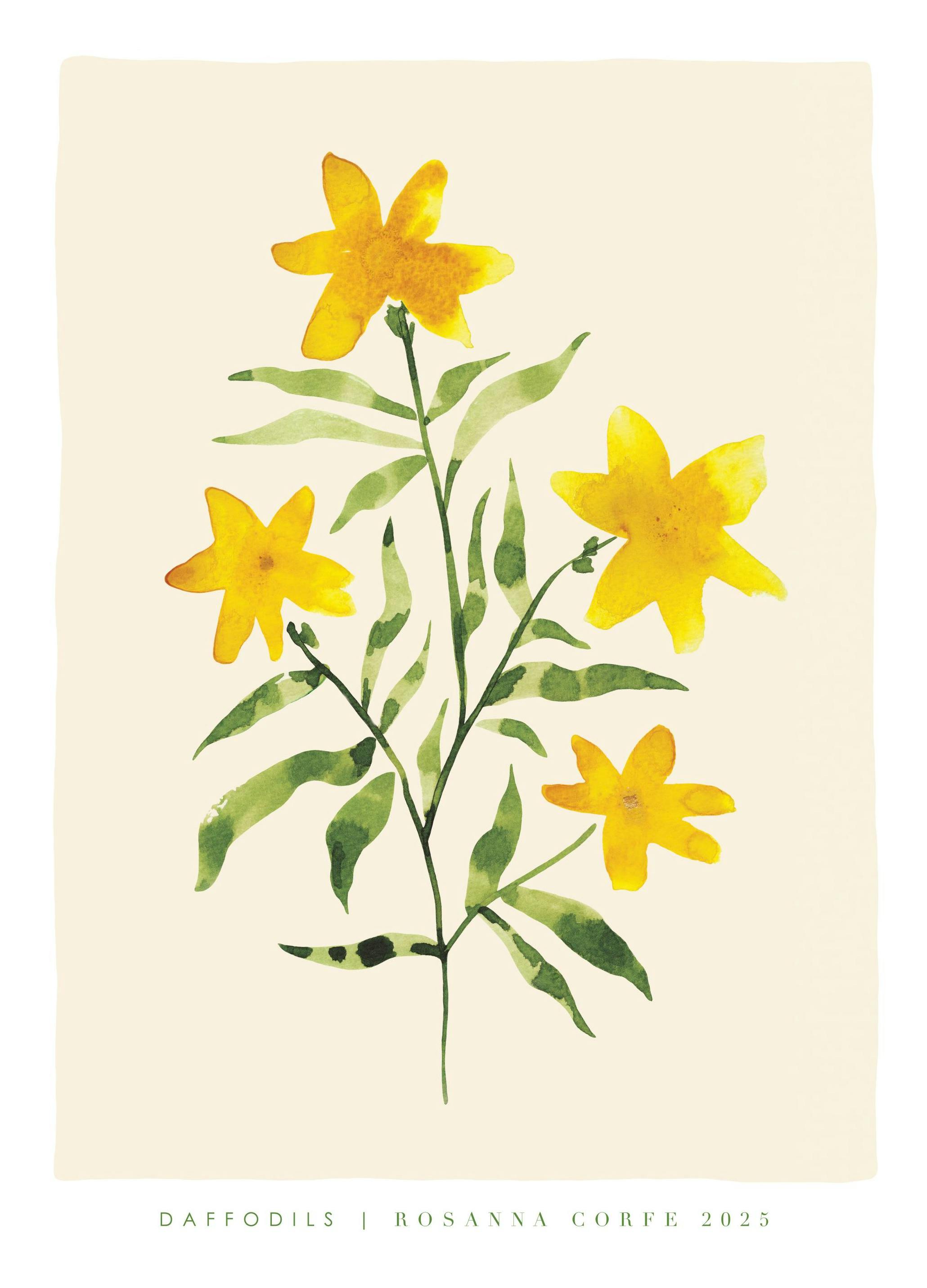 Rosanna Corfe - Daffodils Print (50x70 cm)