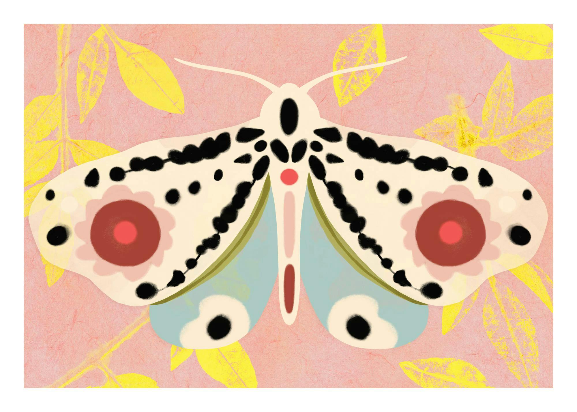 Sylvia Takken - Transformation Print 0