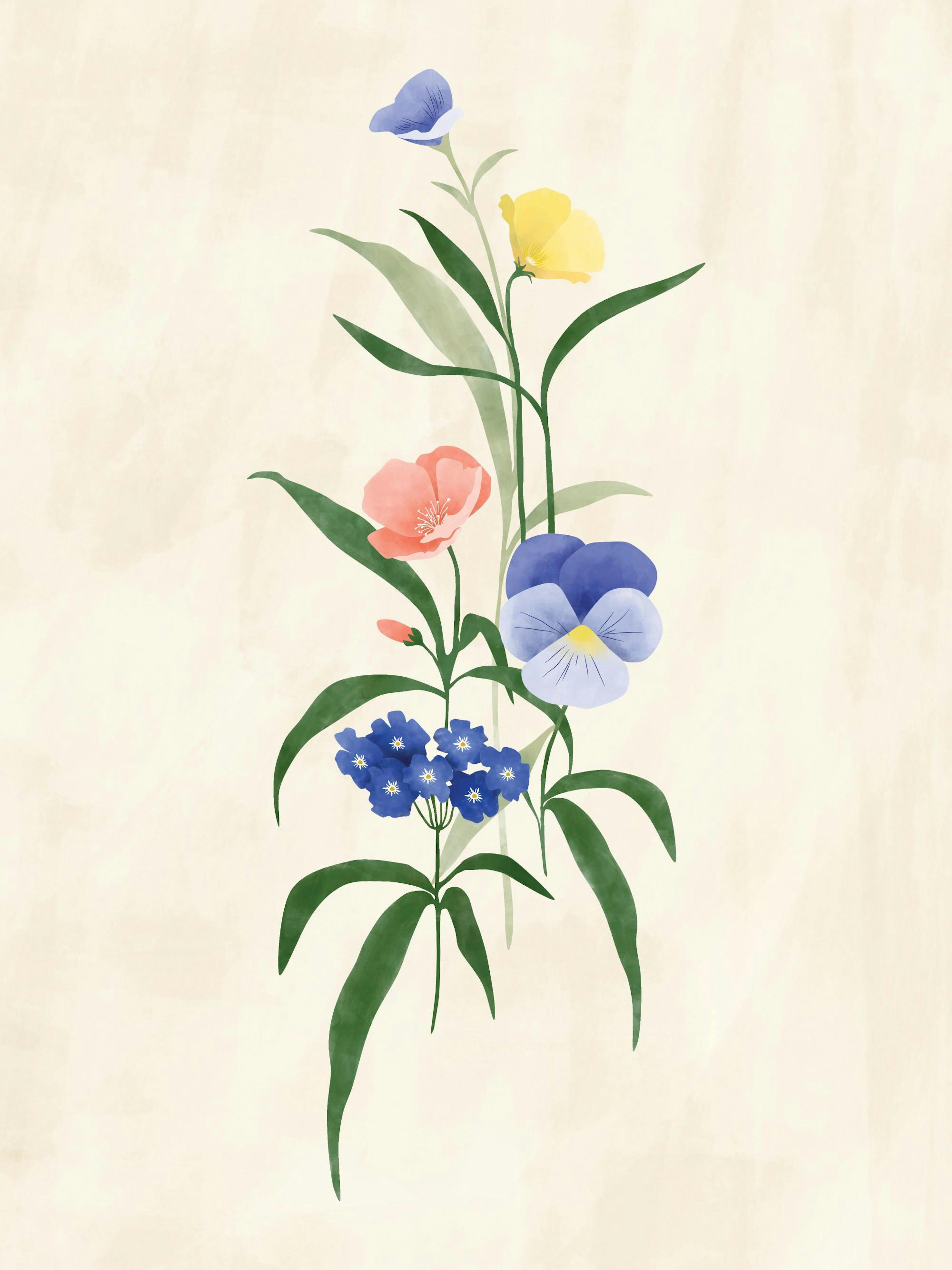 The Print Republic - Sun Kissed Garden No2 Poster
