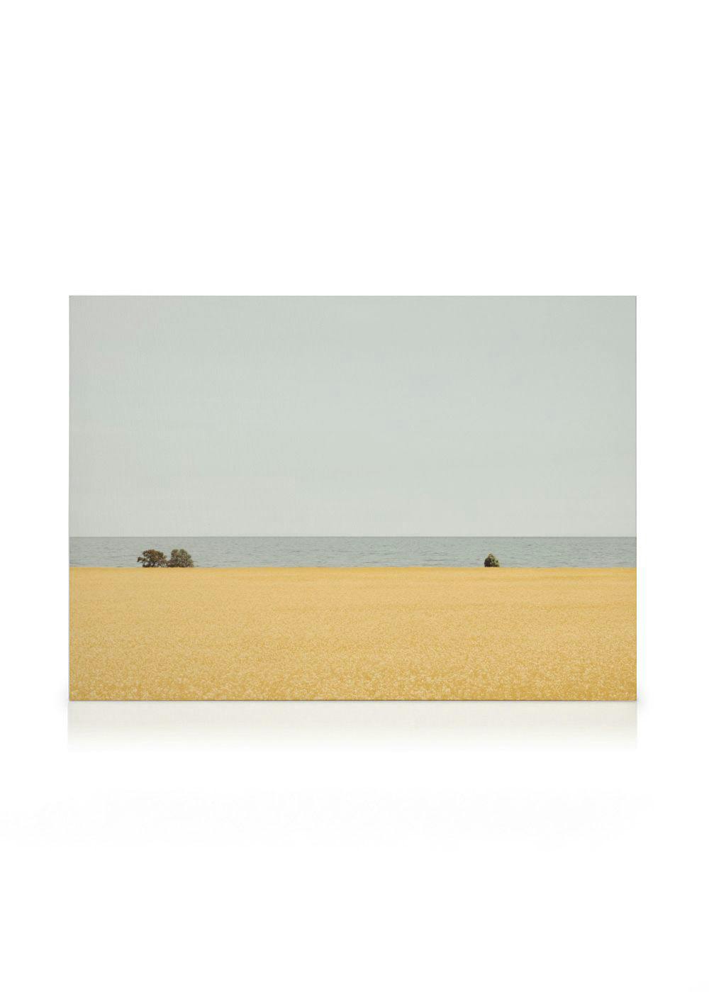 Telas decorativas Field of Gold Tela (30x40 cm)