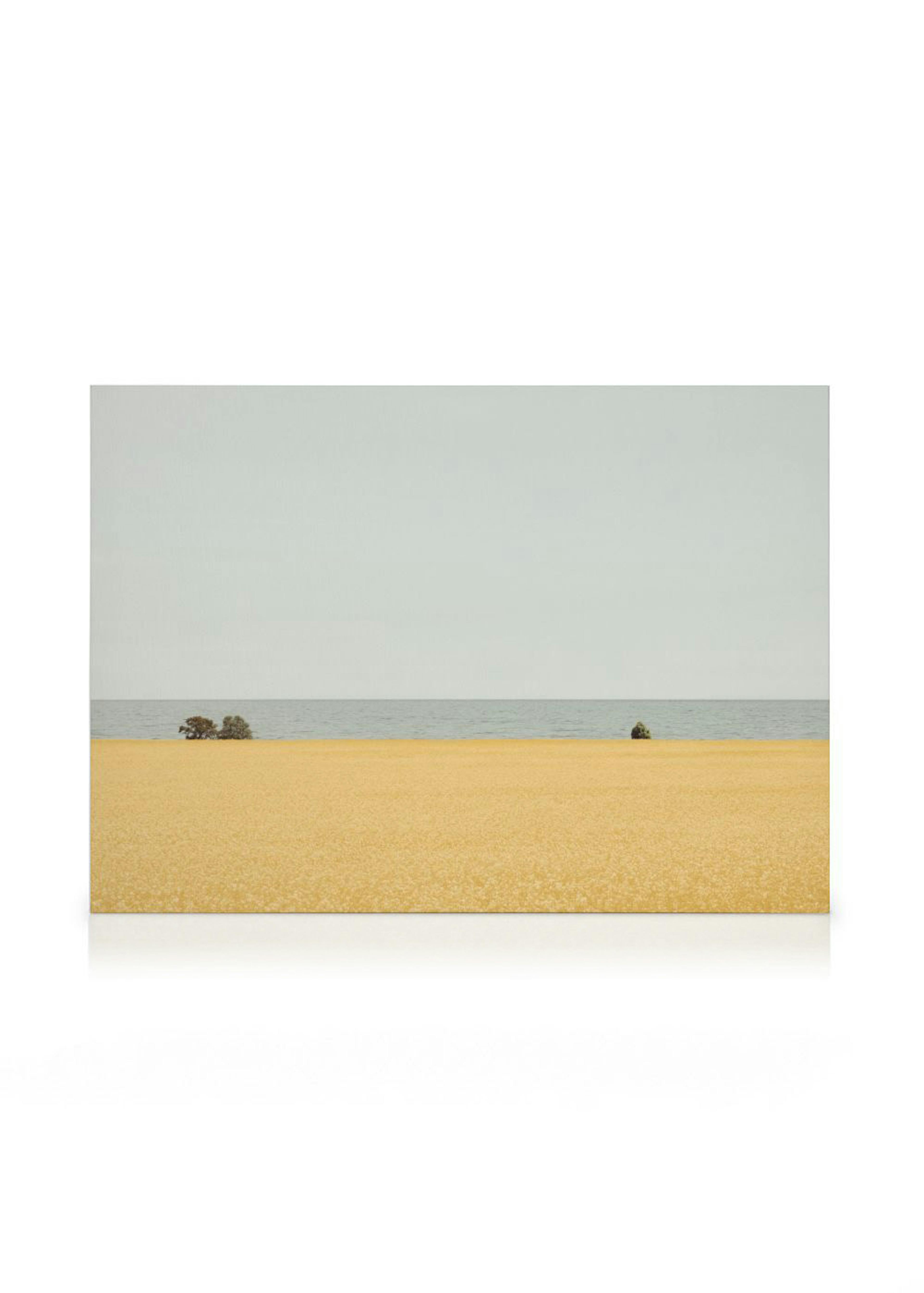 Field of Gold Καμβάς 0