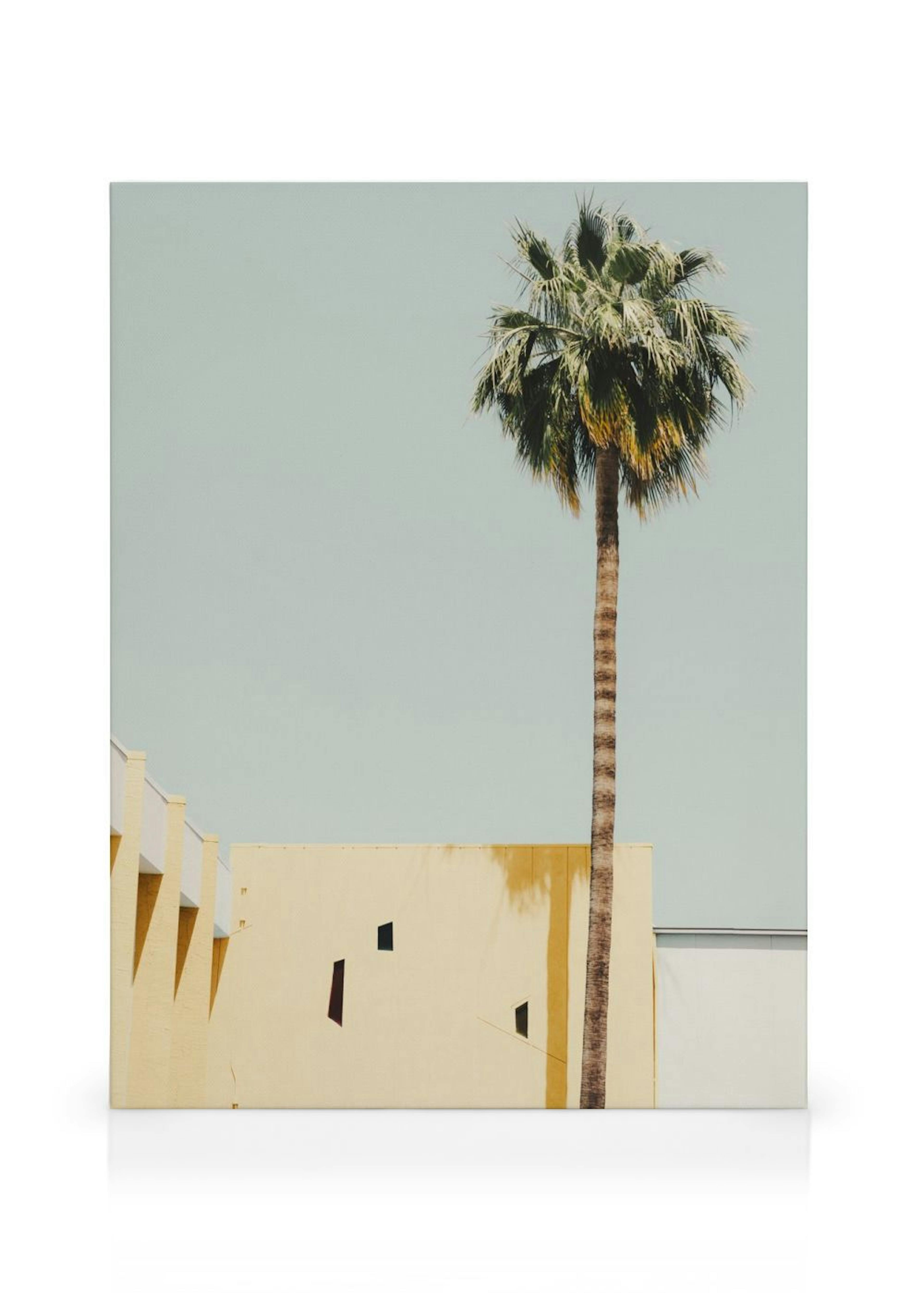 Palm Springs Serenity Toile