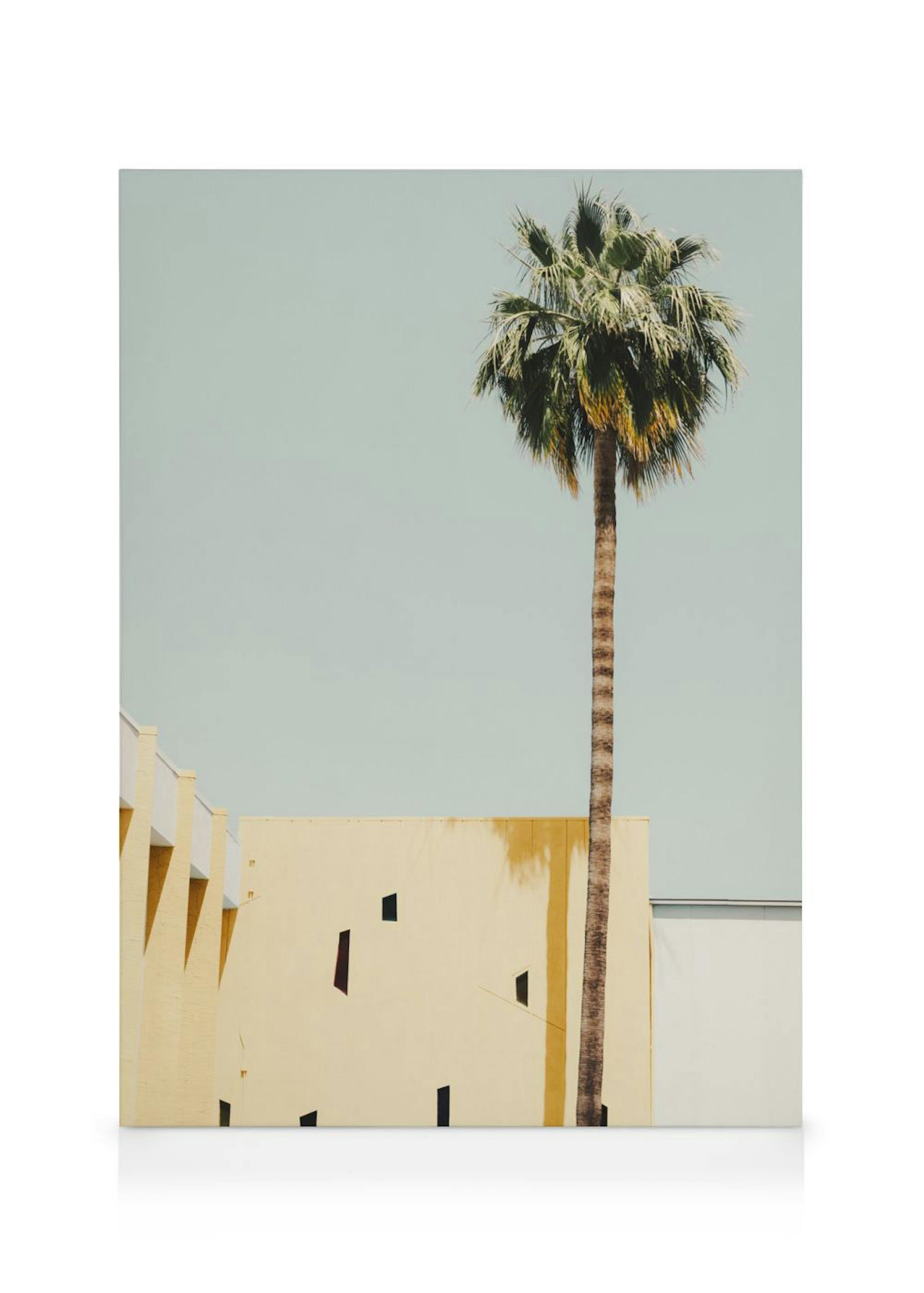 Palm Springs Serenity Καμβάς 0
