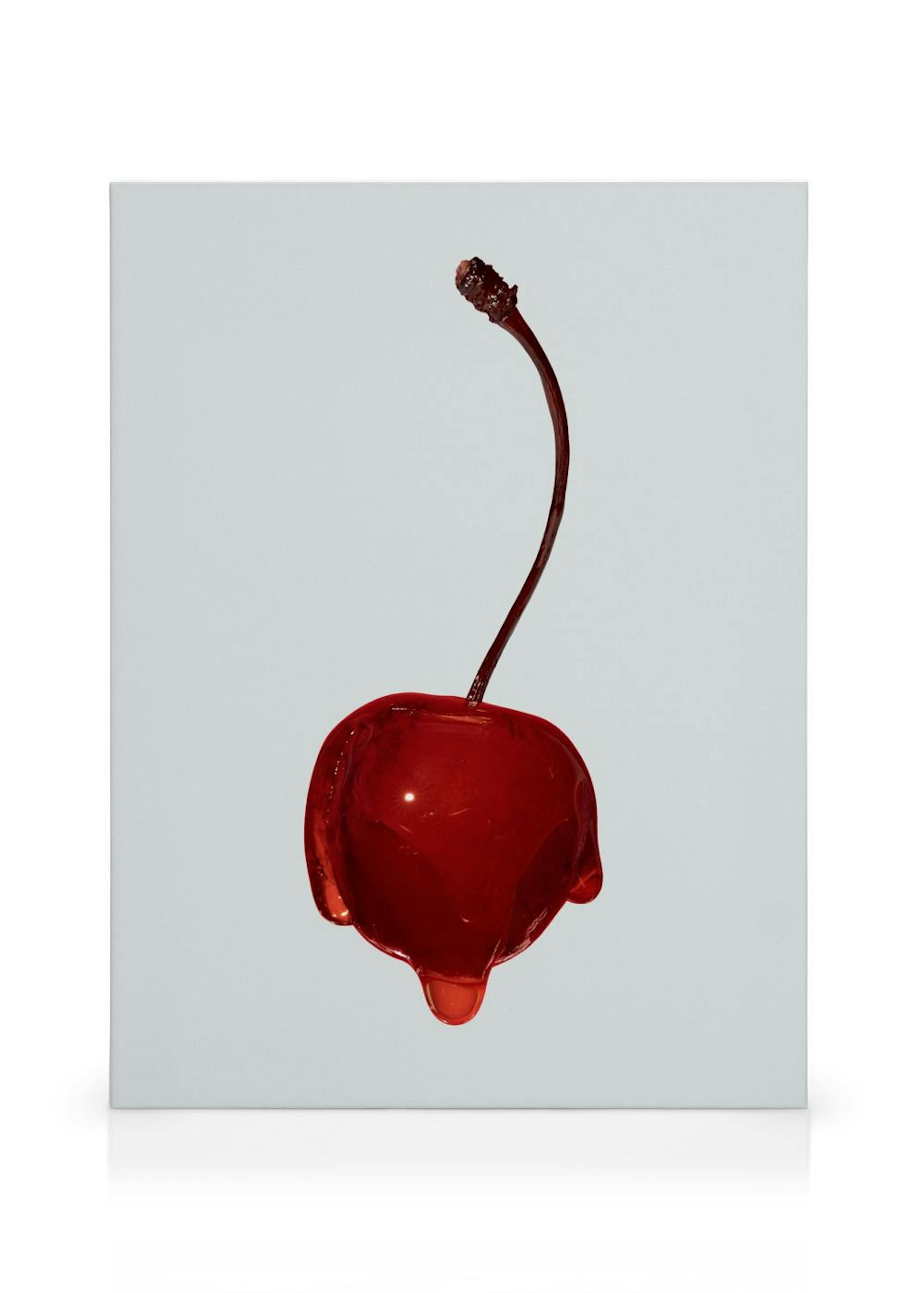 Juicy Cherry Toile