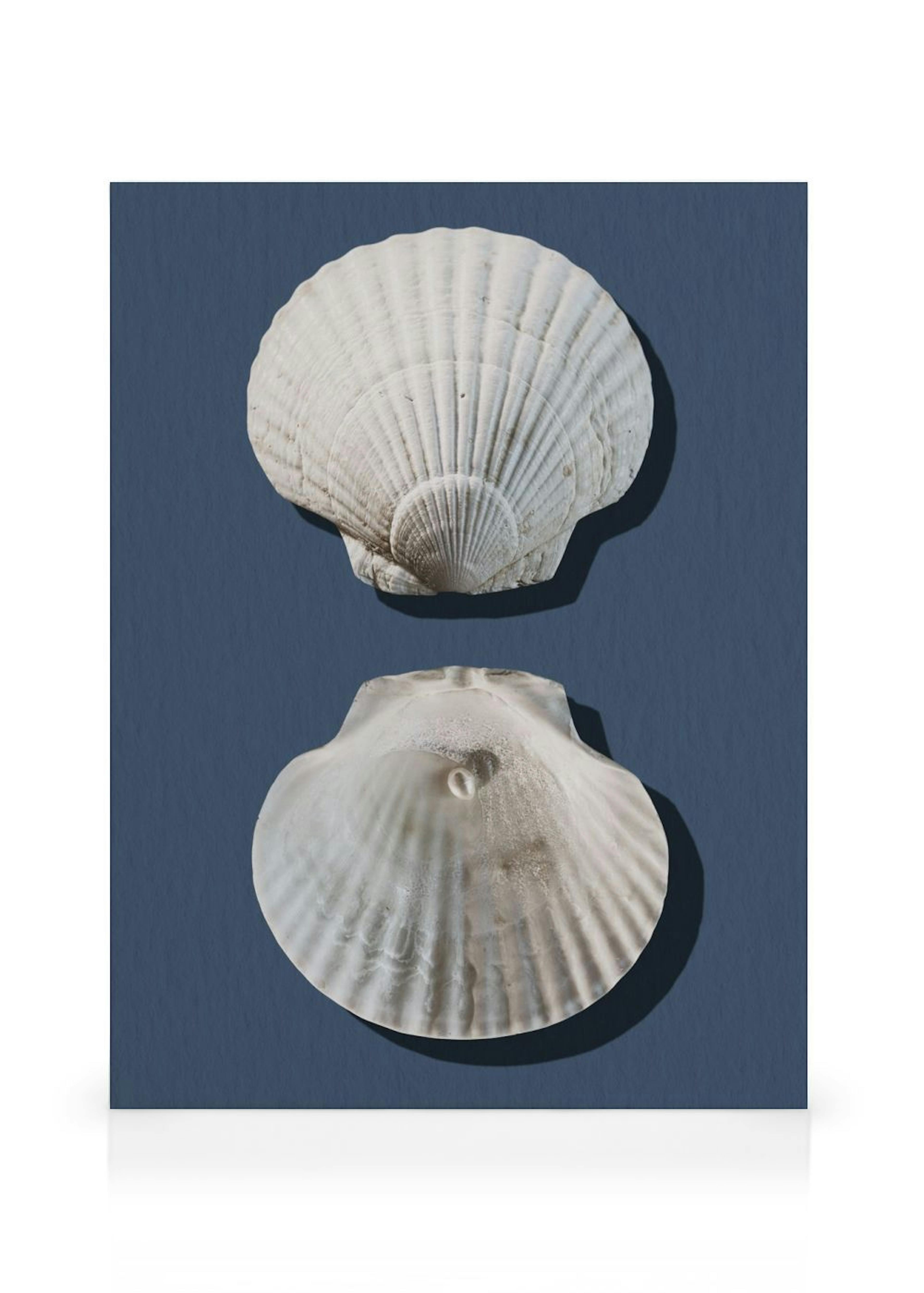 Sea Treasures Toile