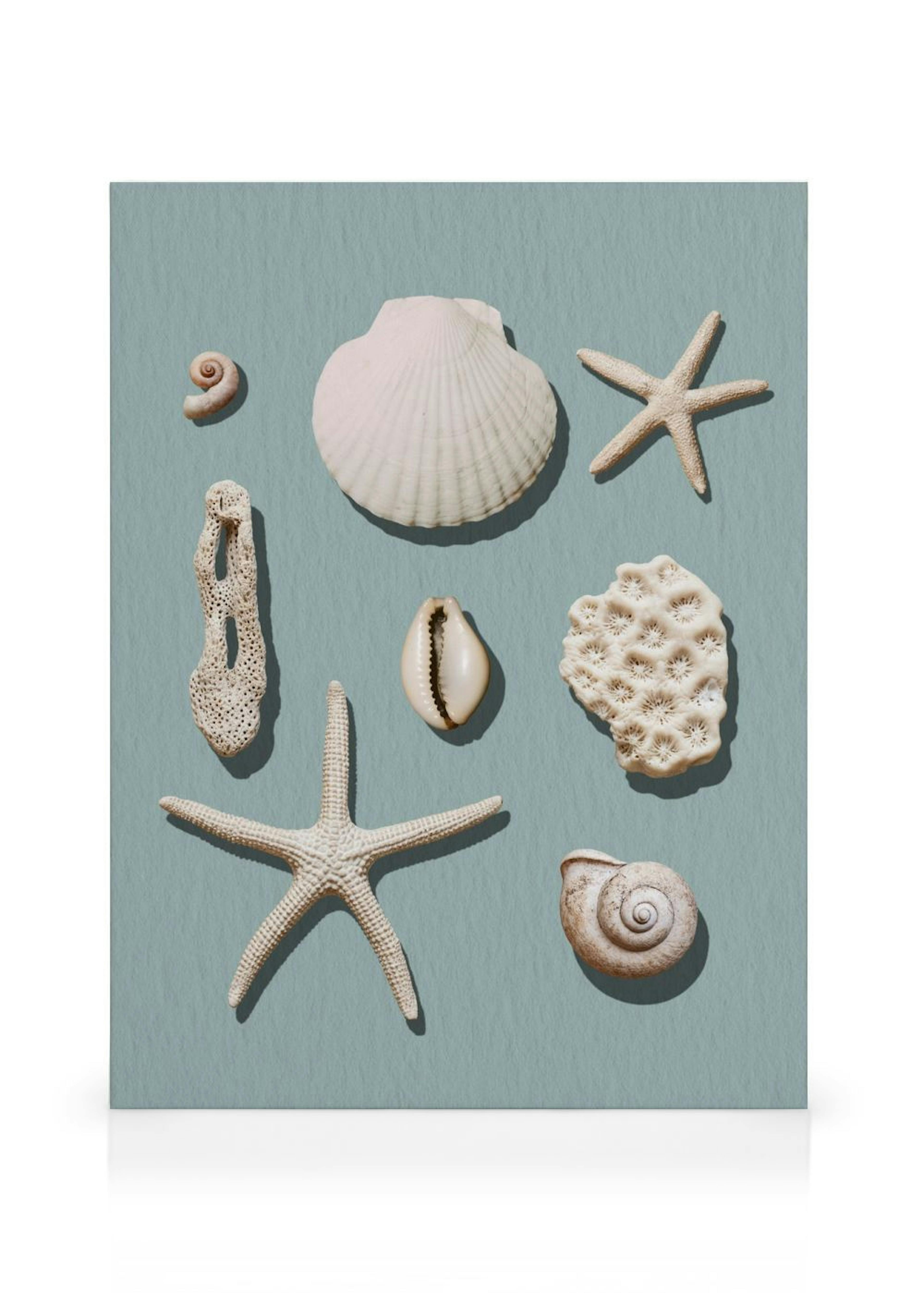 Marine Memories Toile