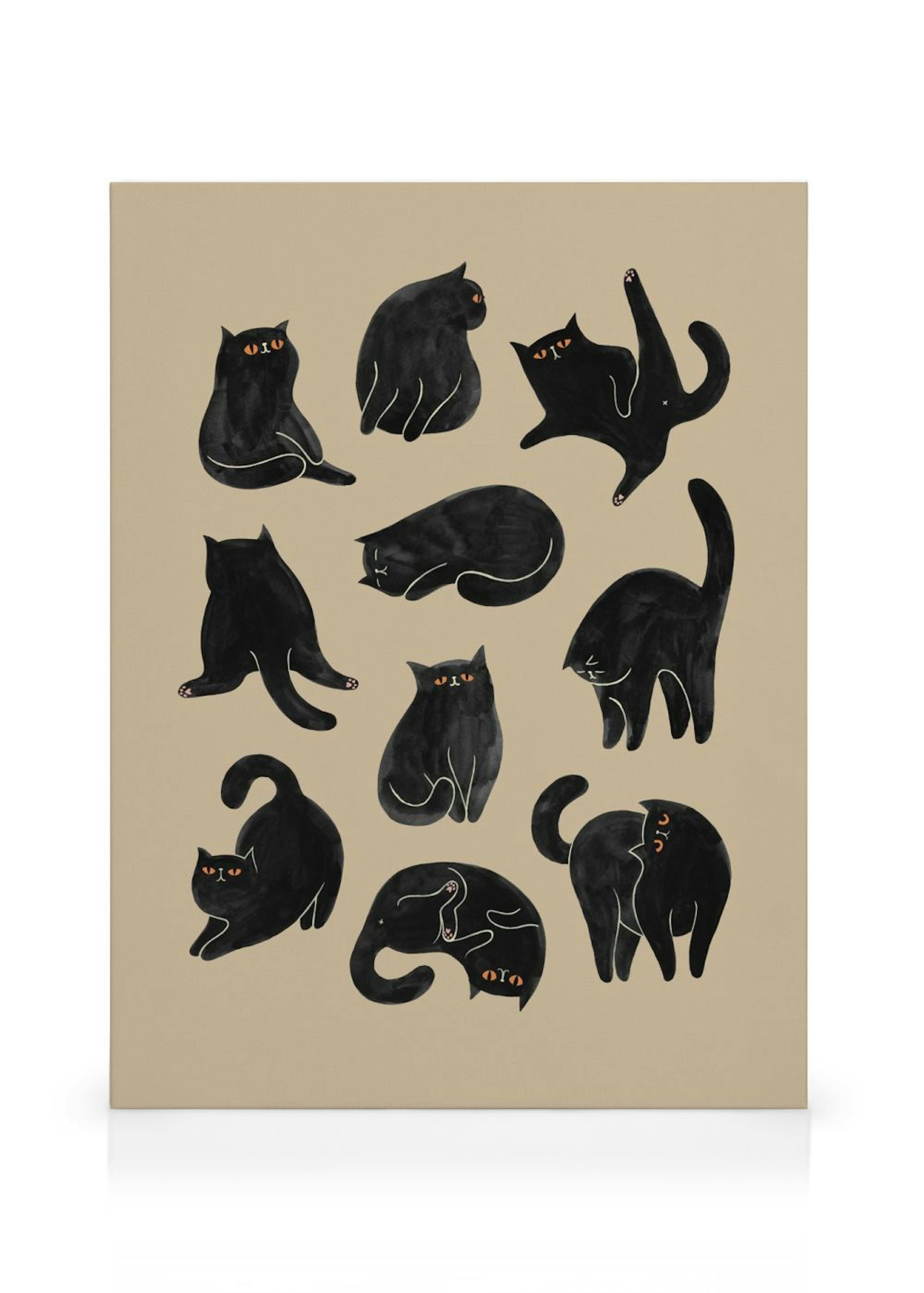 Kitty Yoga Toile