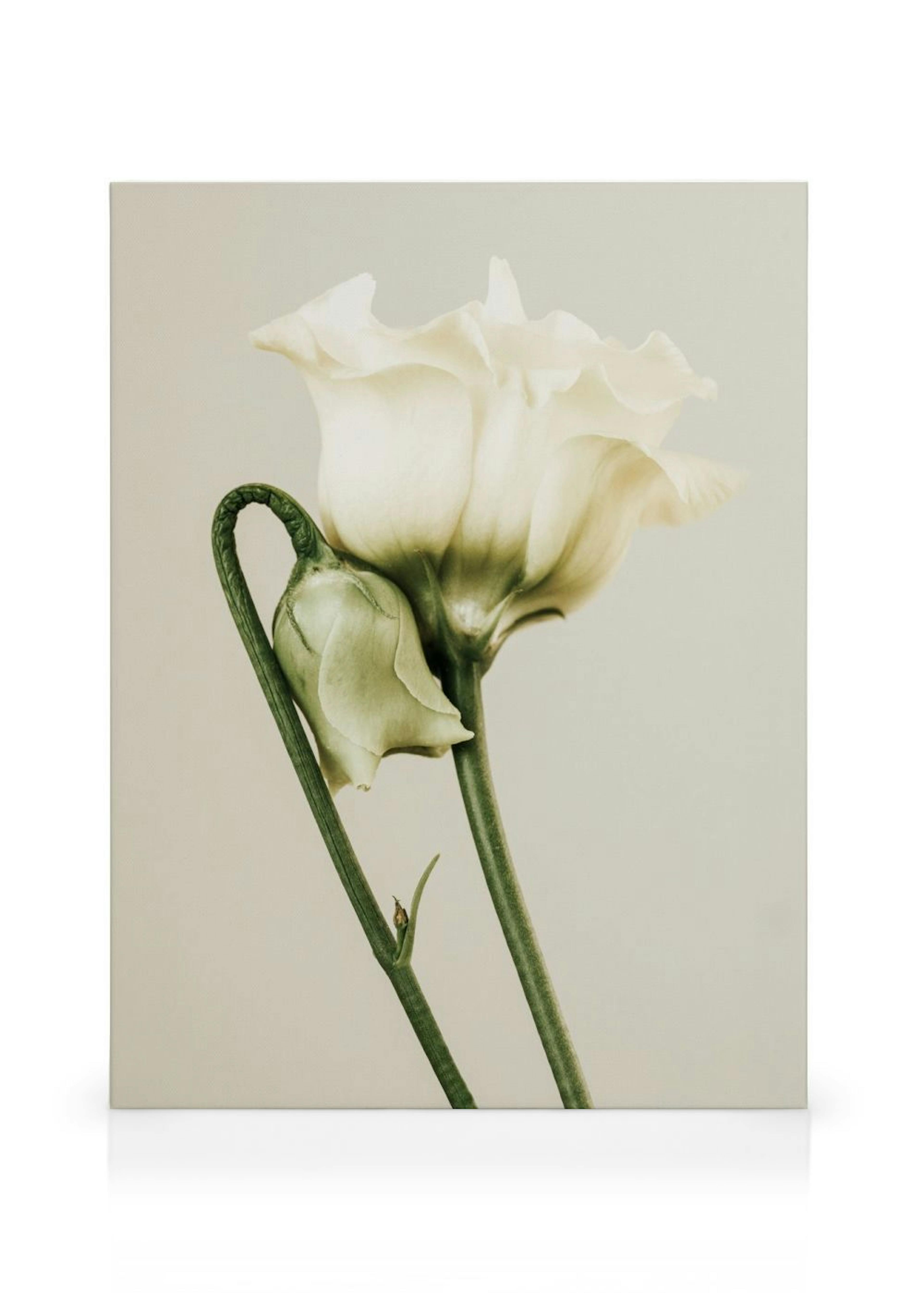 Product image: 1