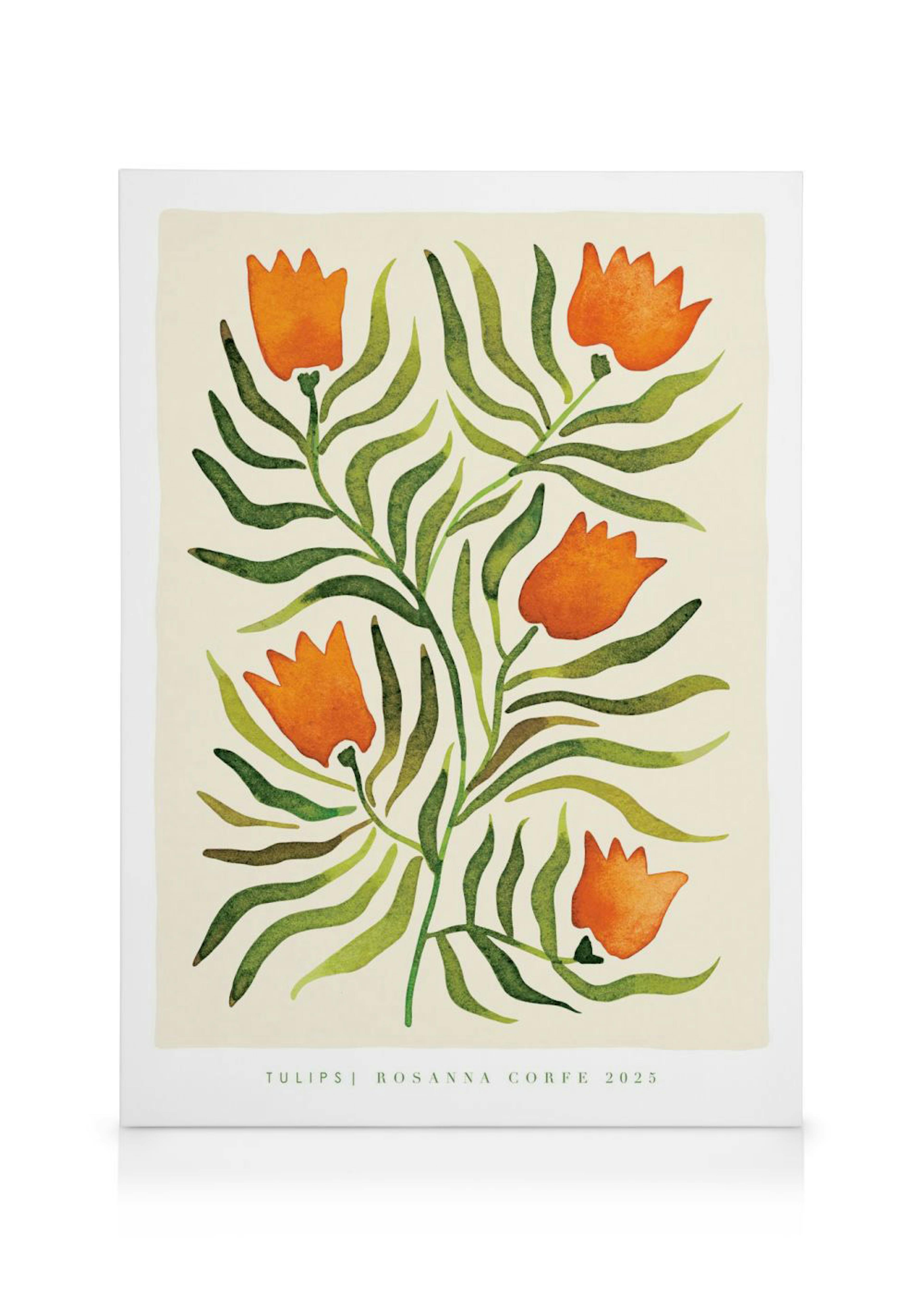 Rosanna Corfe - Tulips Canvas 0