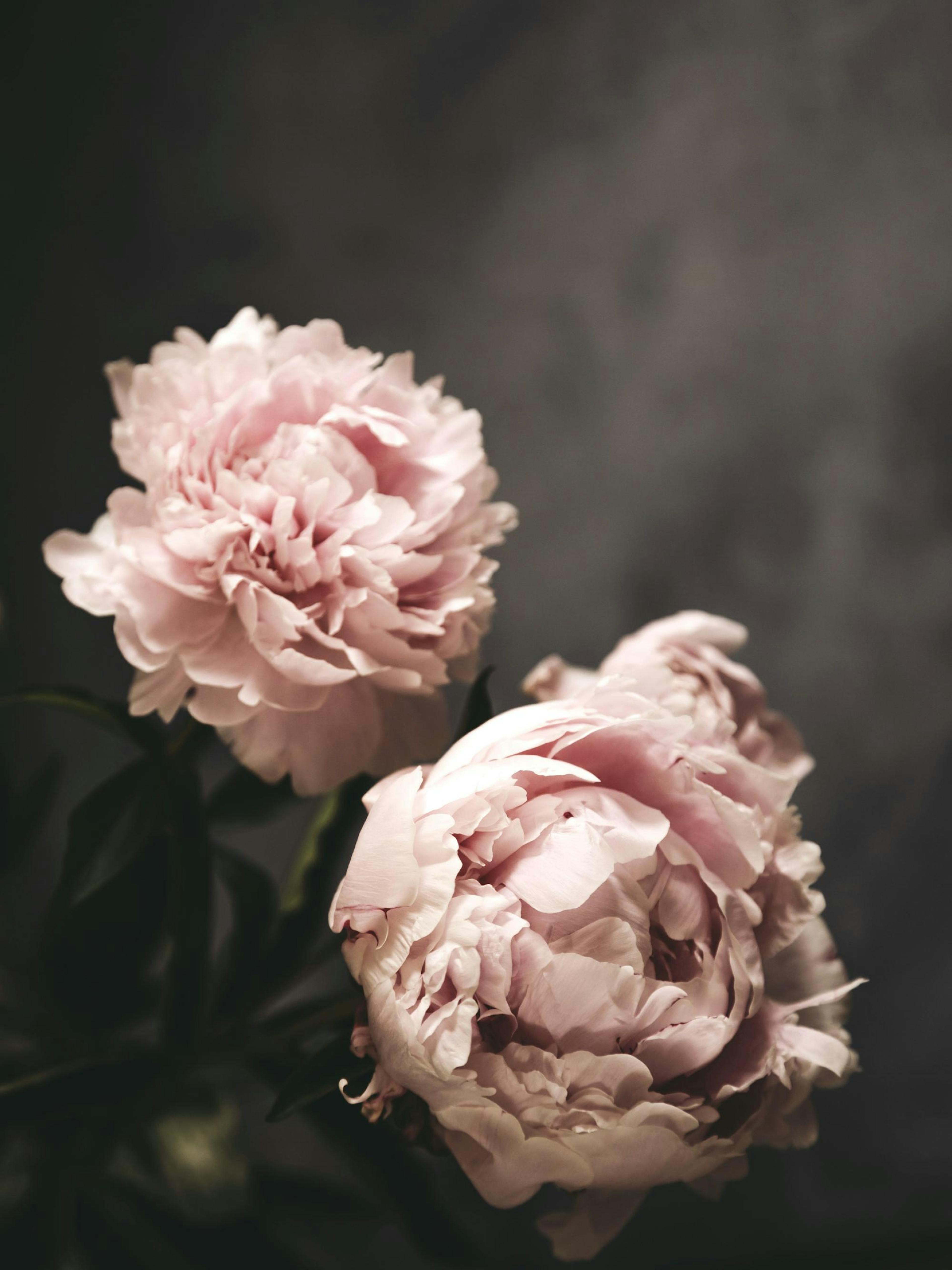 There's Beauty Print