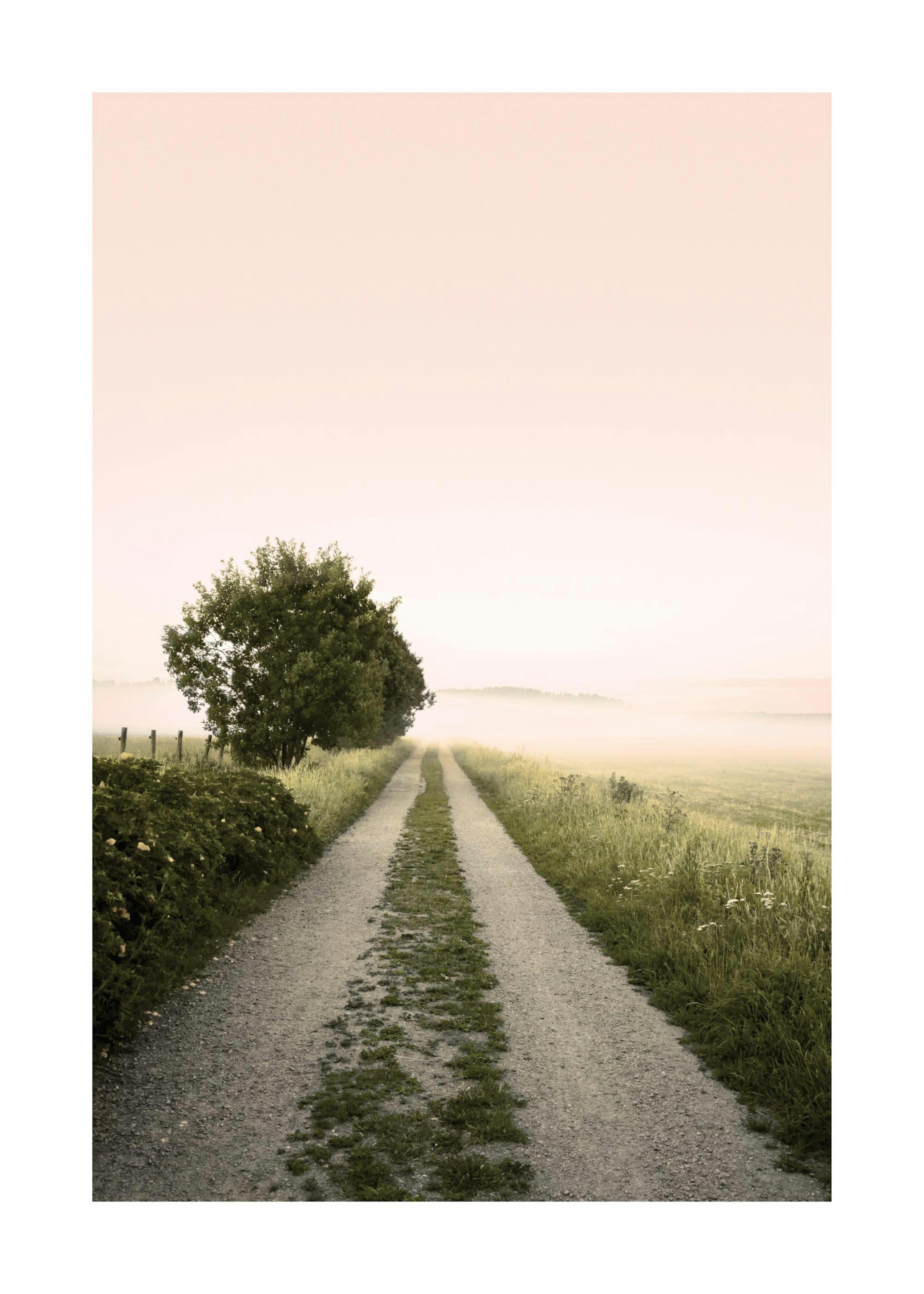 Foggy Morning Affiche 0