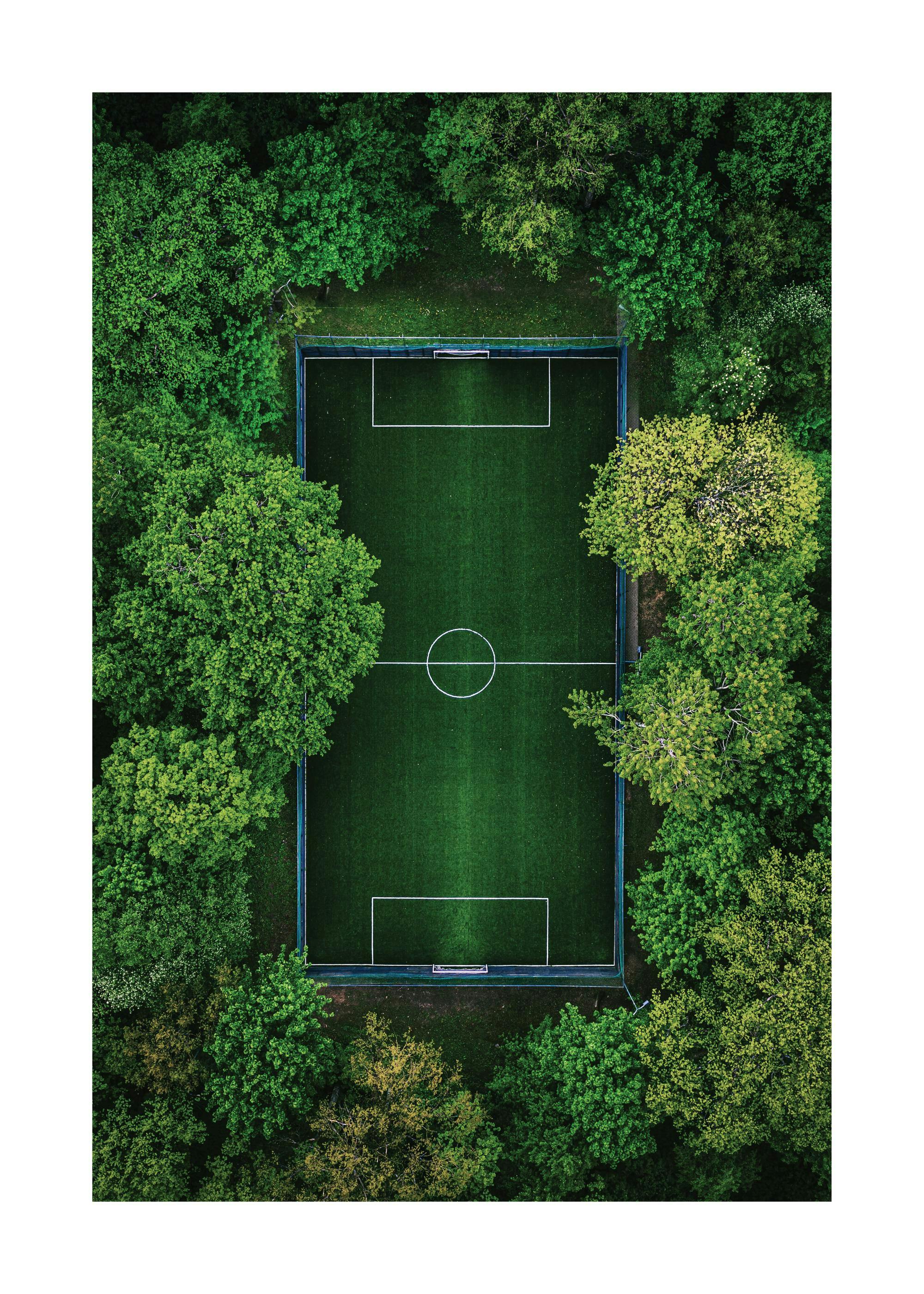 Green Soccer Pitch Poster 0