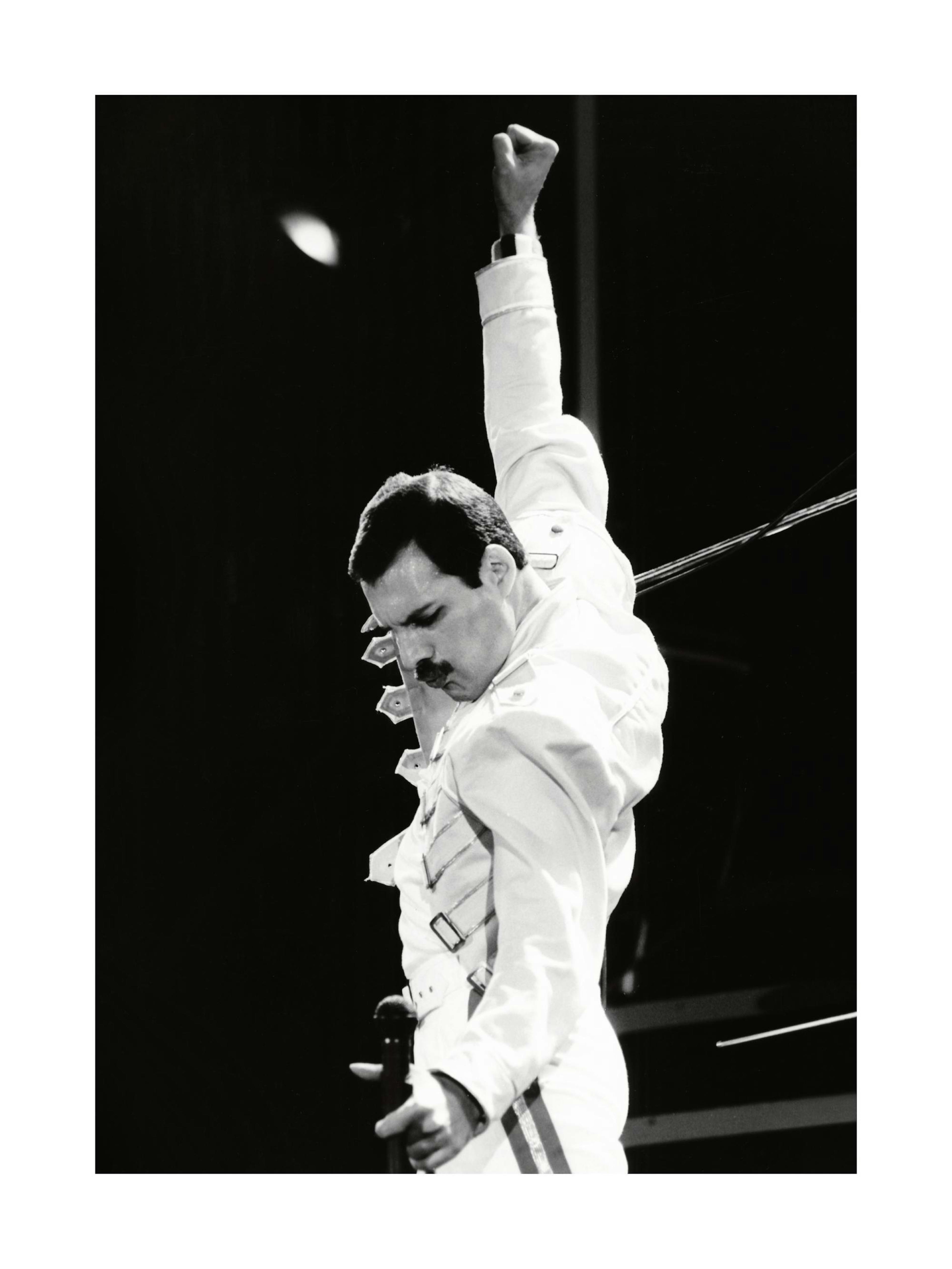 Freddie Mercury Plakat 0
