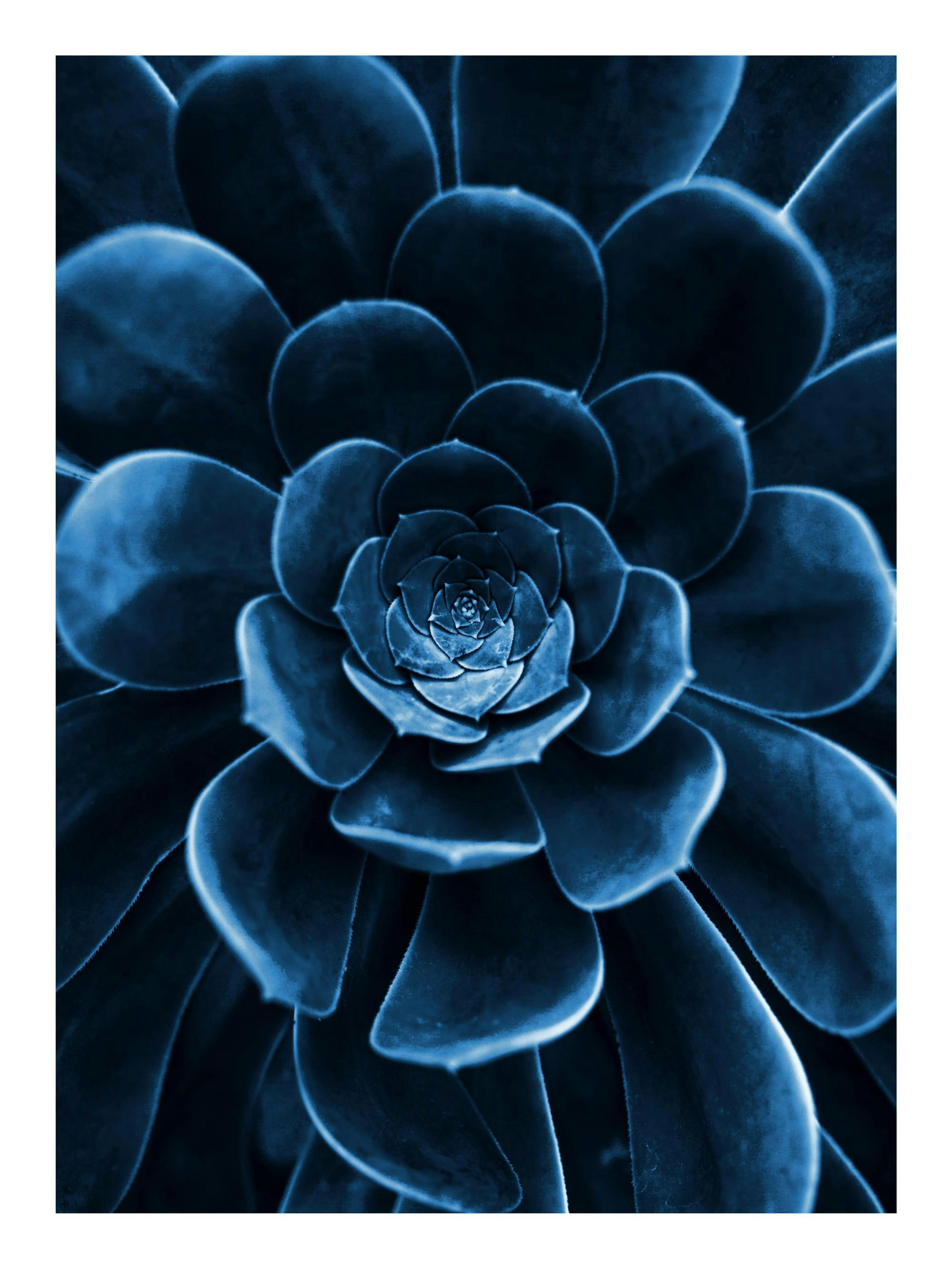 Product image: 1