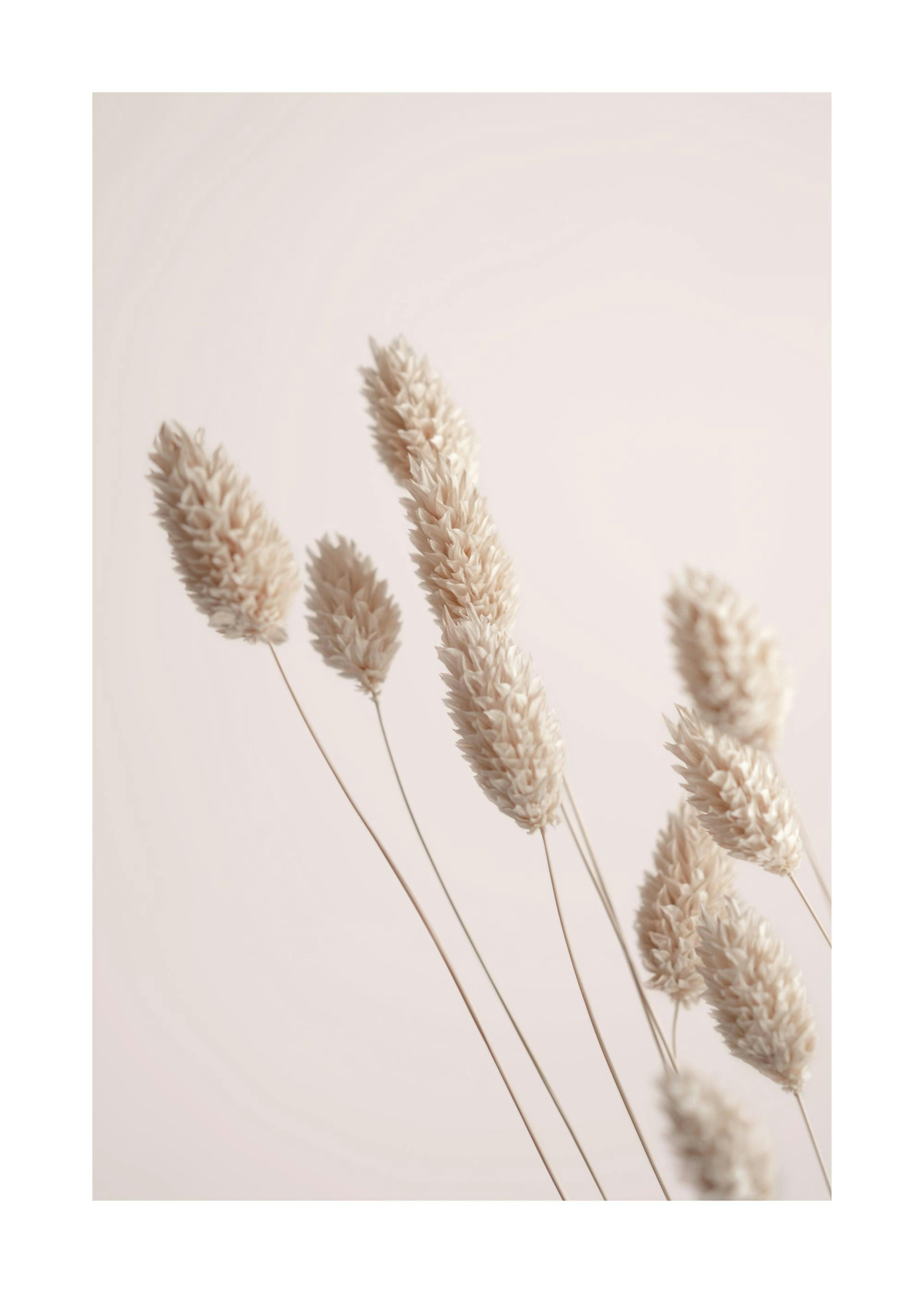 Product image: 1
