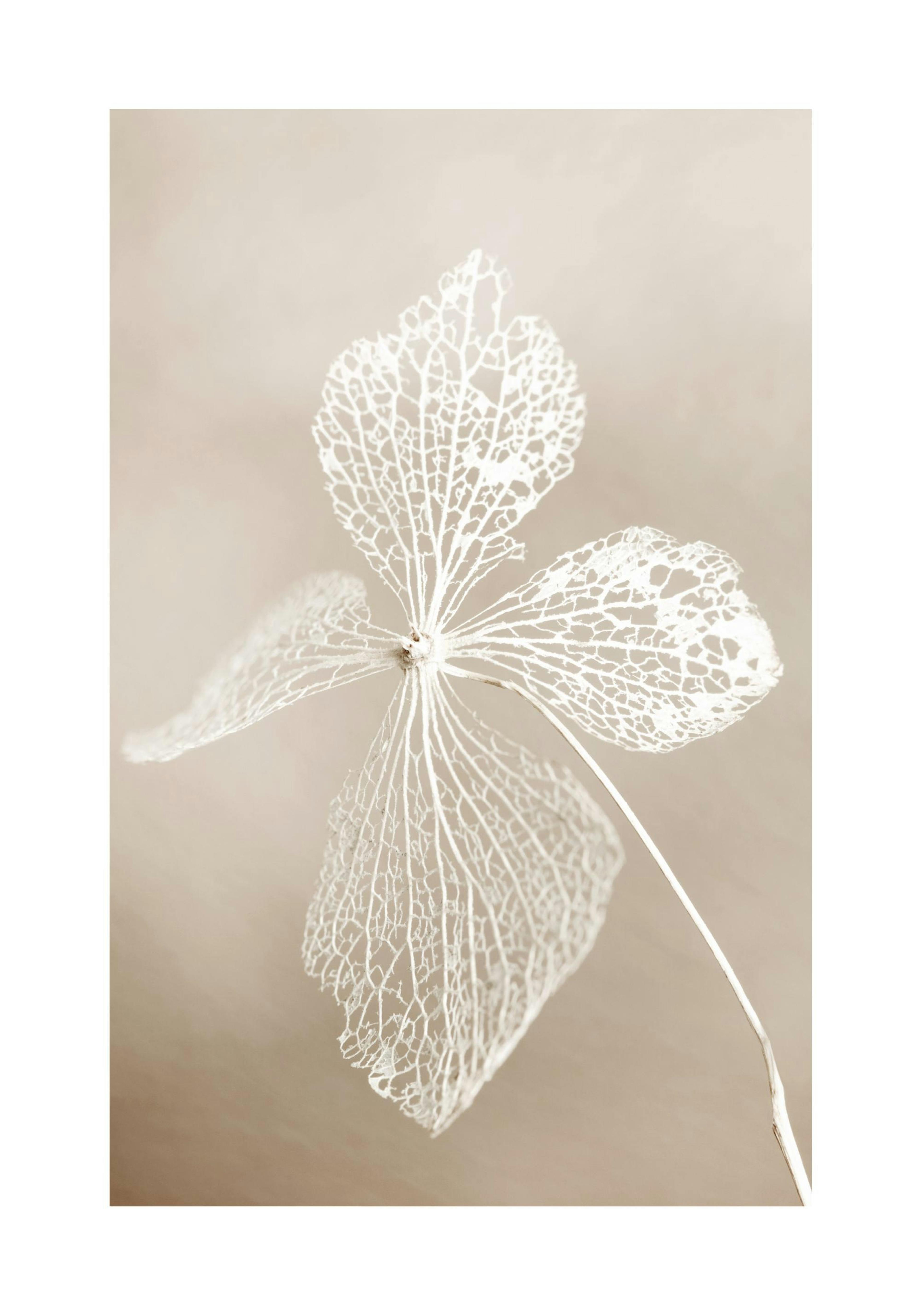 Product image: 1