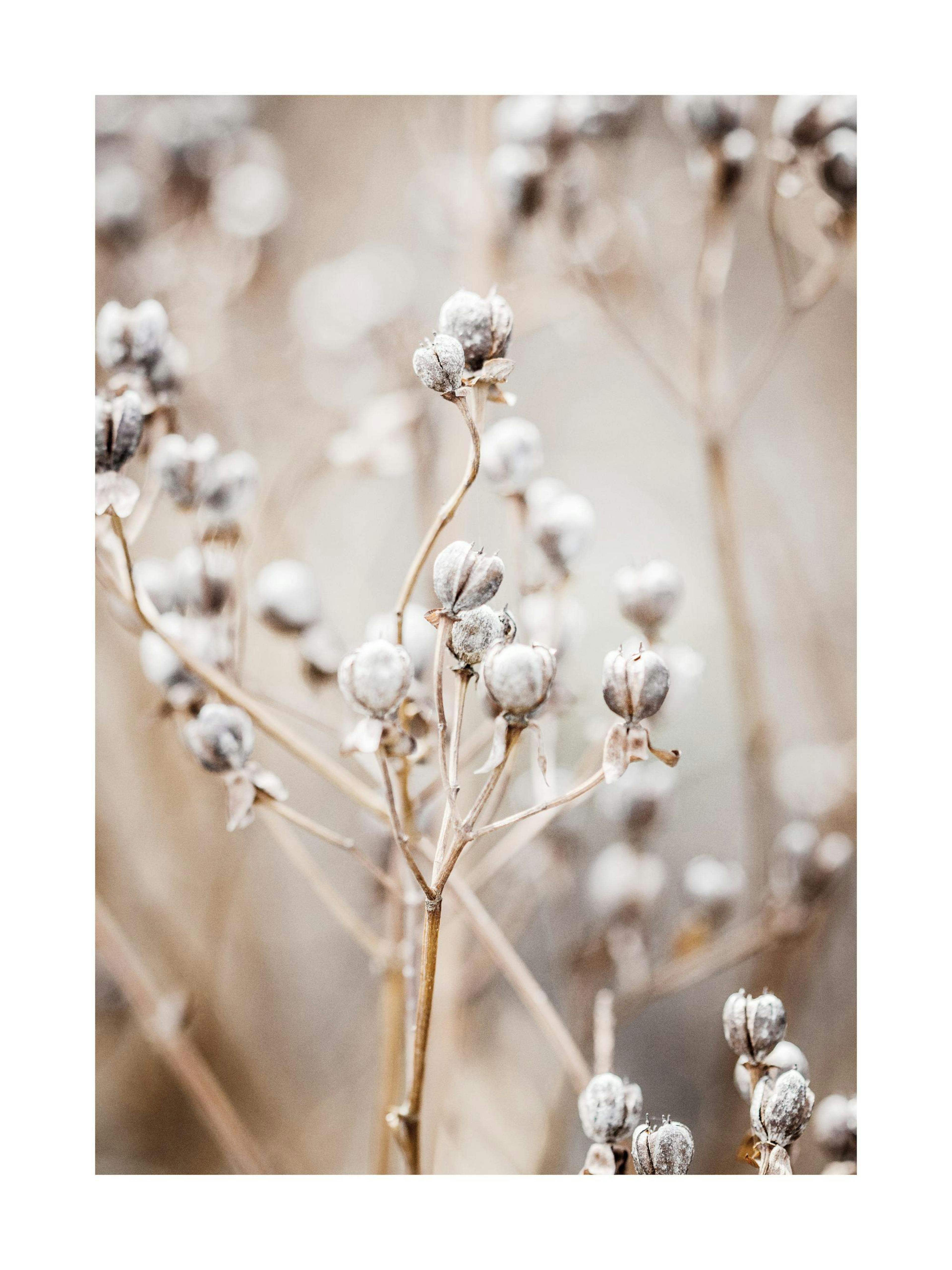 Autumn Nature Poster 0