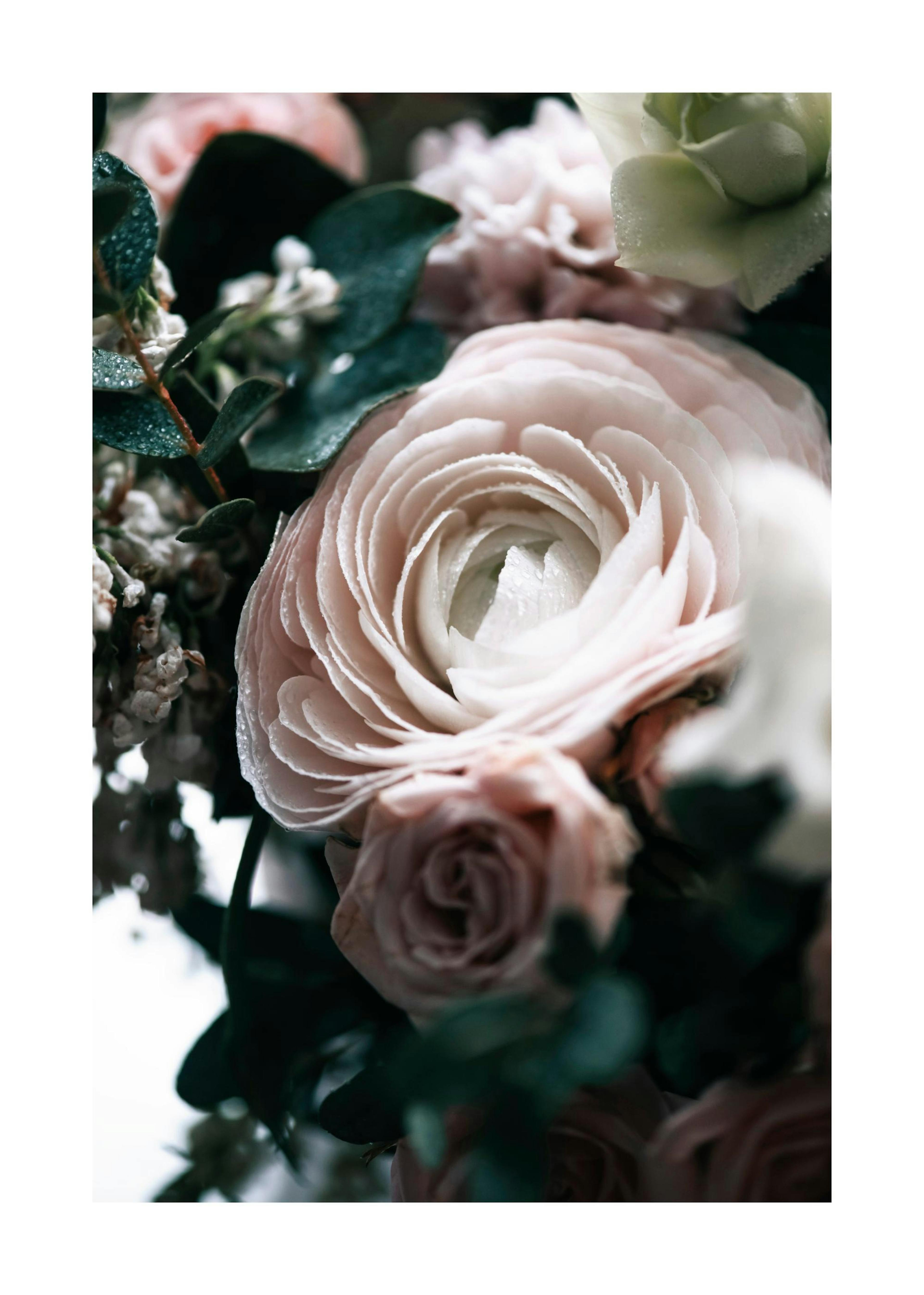 Boquet One Plakat 0