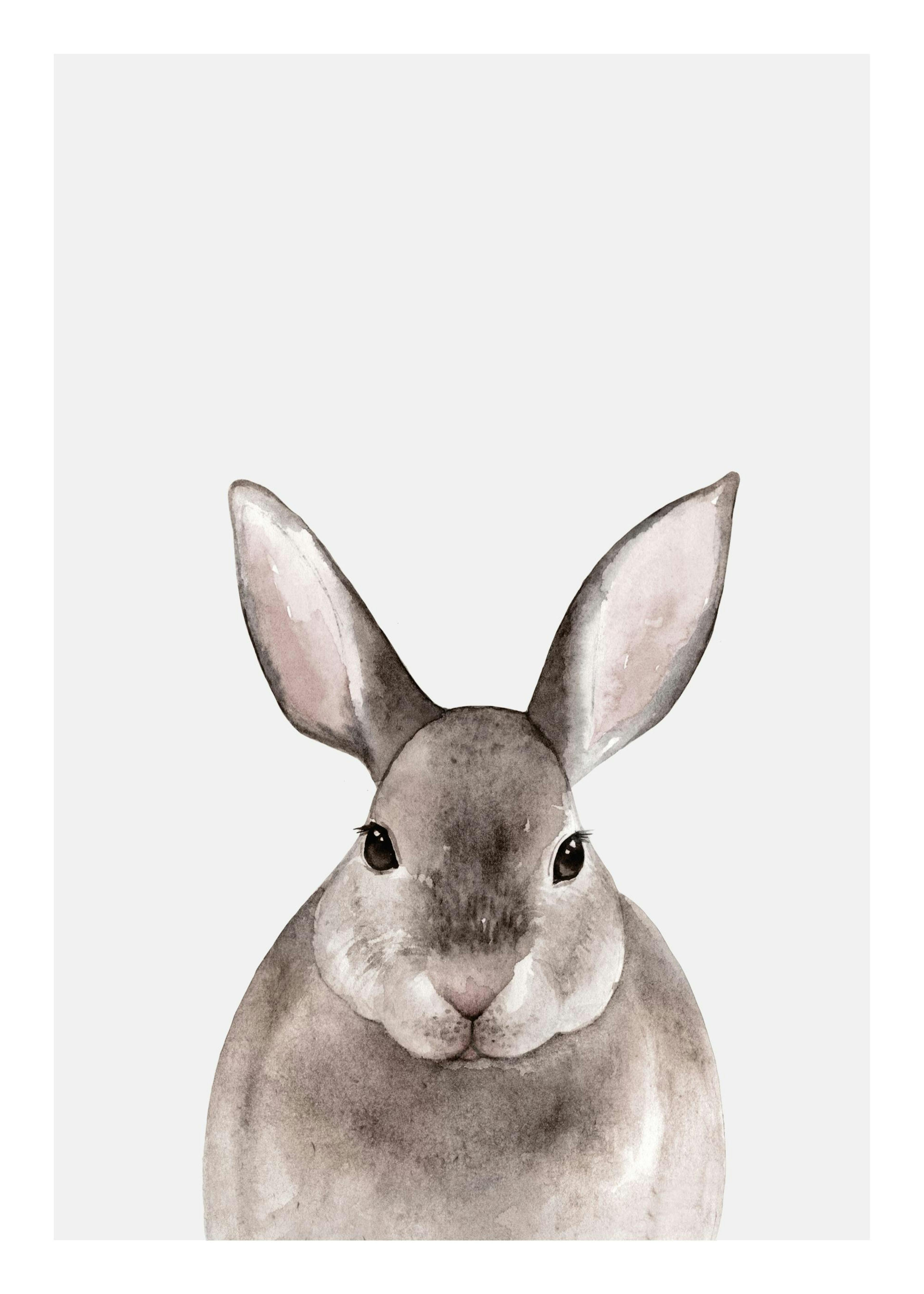 Little Rabbit Poster 0