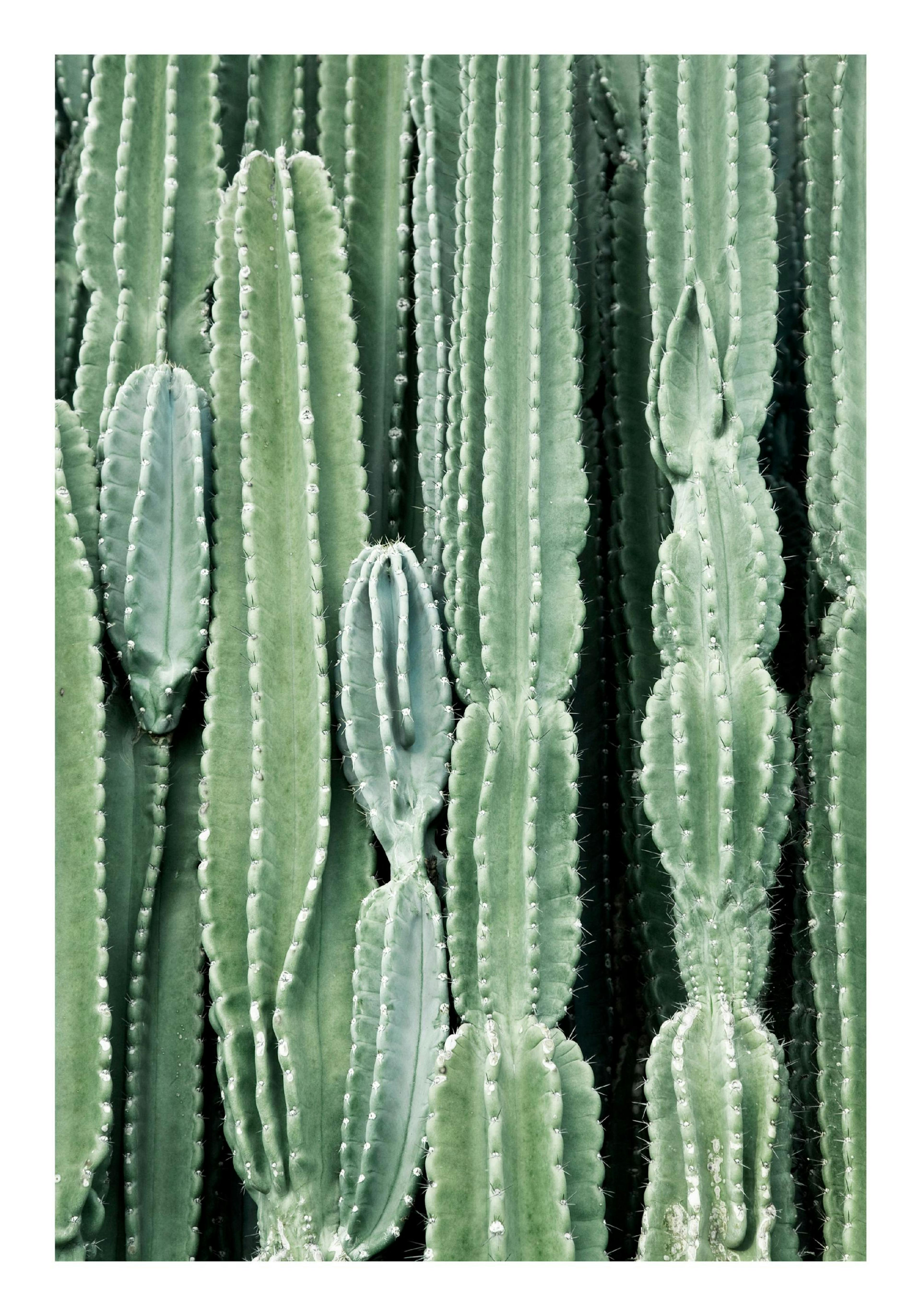 Product image: 1