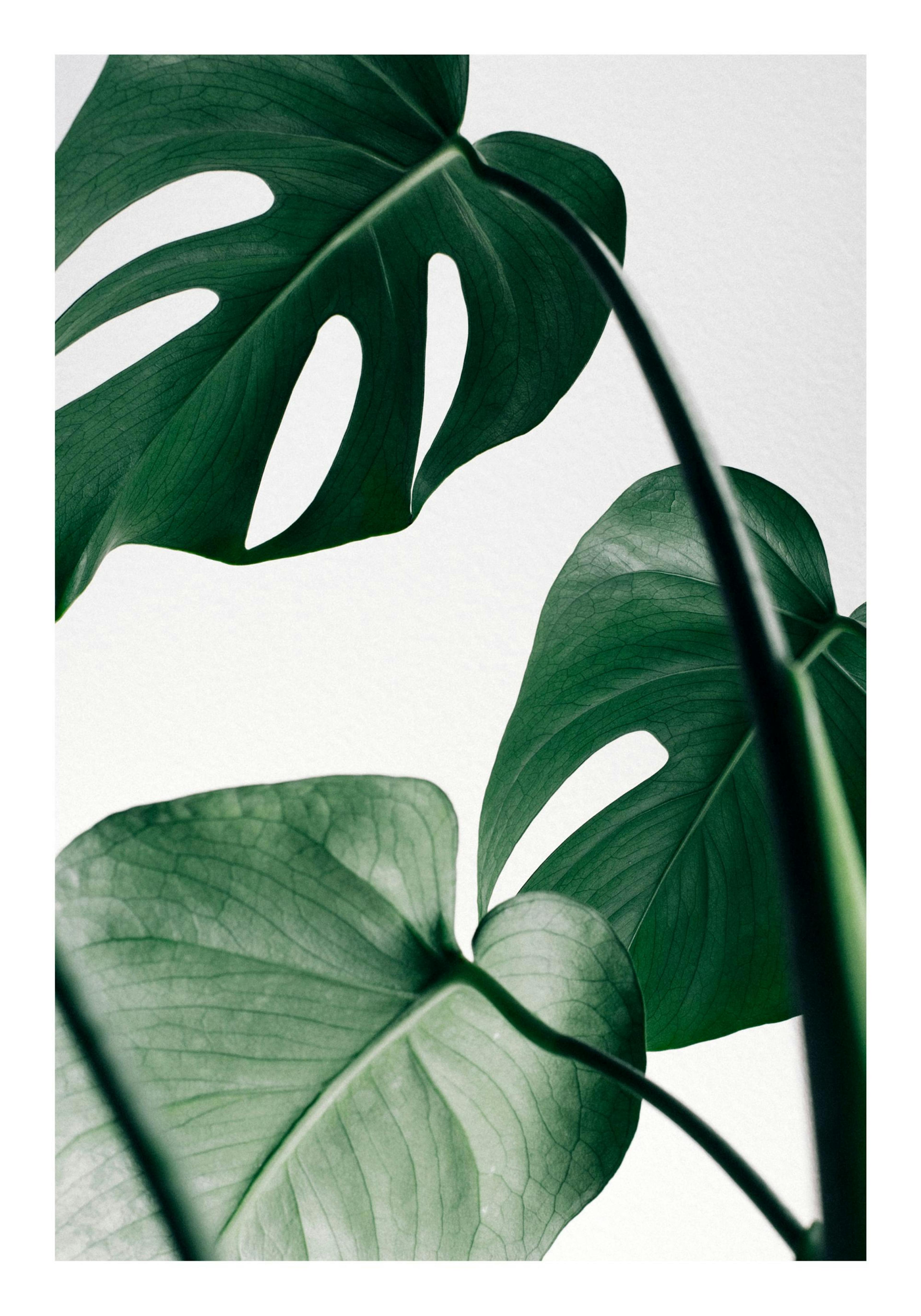 Product image: 1