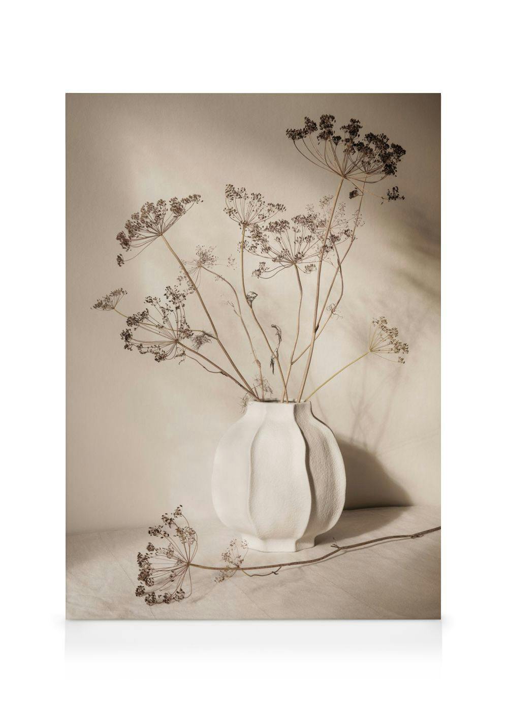 A canvas print showcasing a white vase with dried dill flowers on a light beige background with shadows.