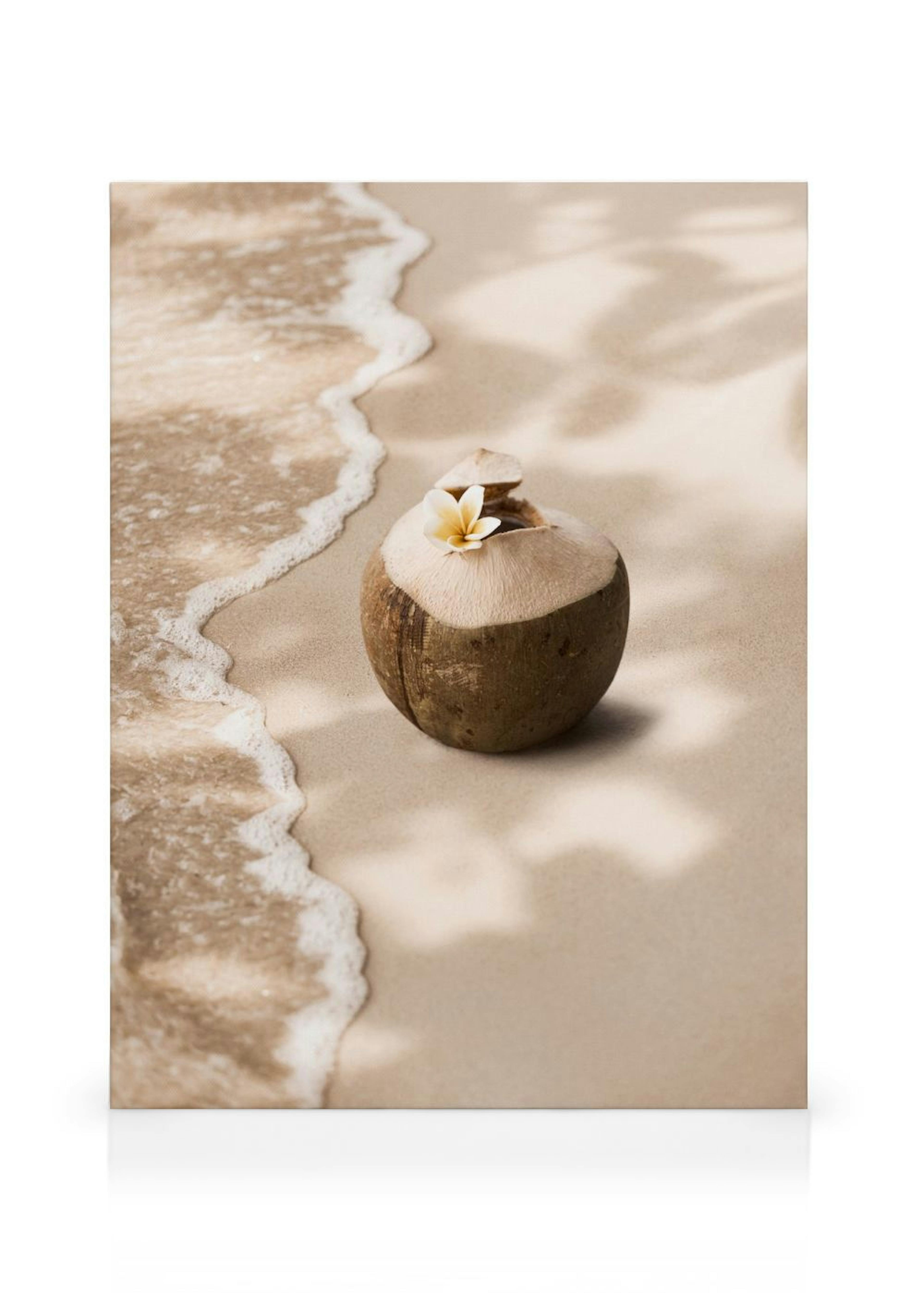Leinwandbild mit einer Kokosnuss am Sandstrand und einer Frangipaniblüte, Meeresrauschen und Palmenblattschatten.
