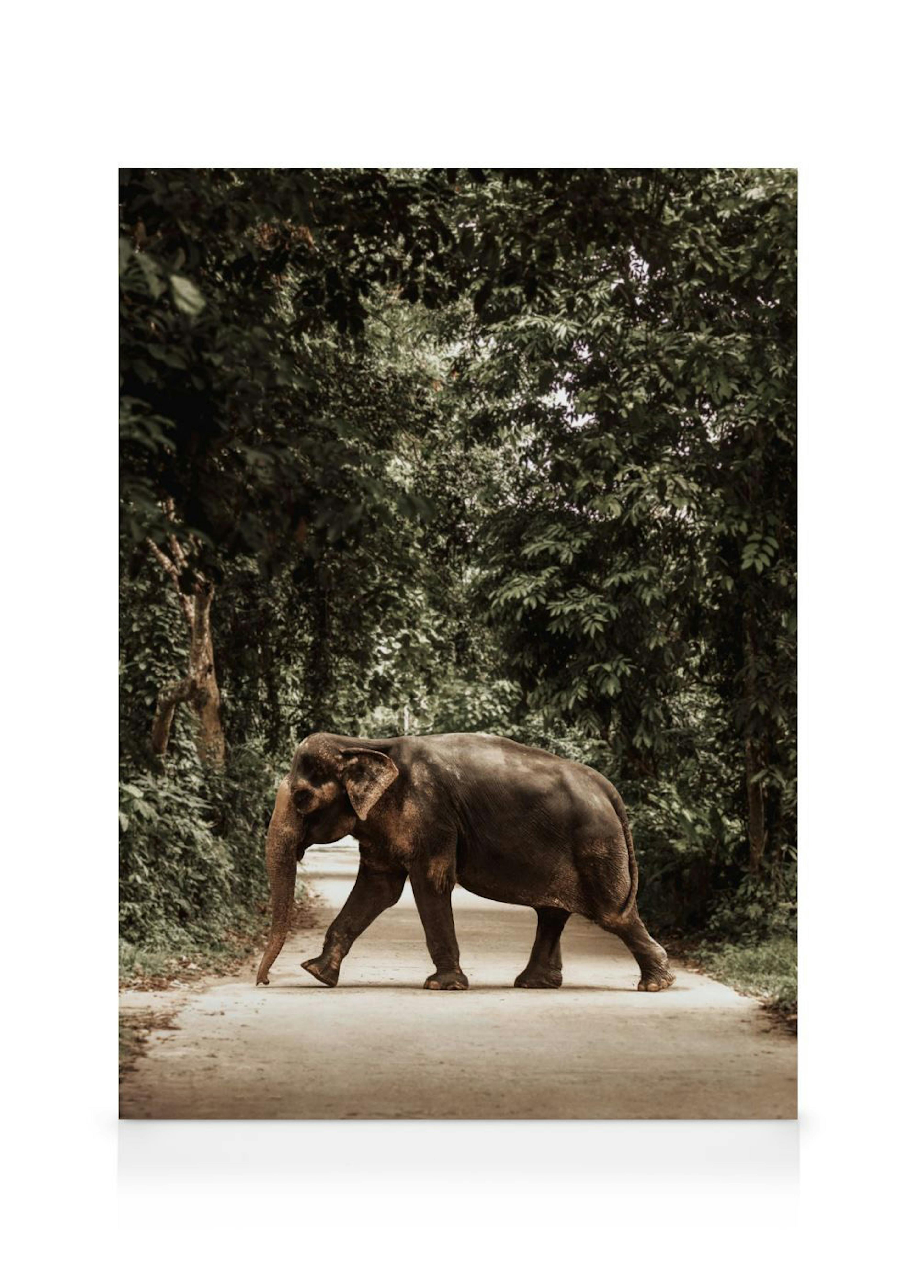 Toile dun éléphant marchant sur une route de terre bordée darbres luxuriants, présentée sur un mur blanc.