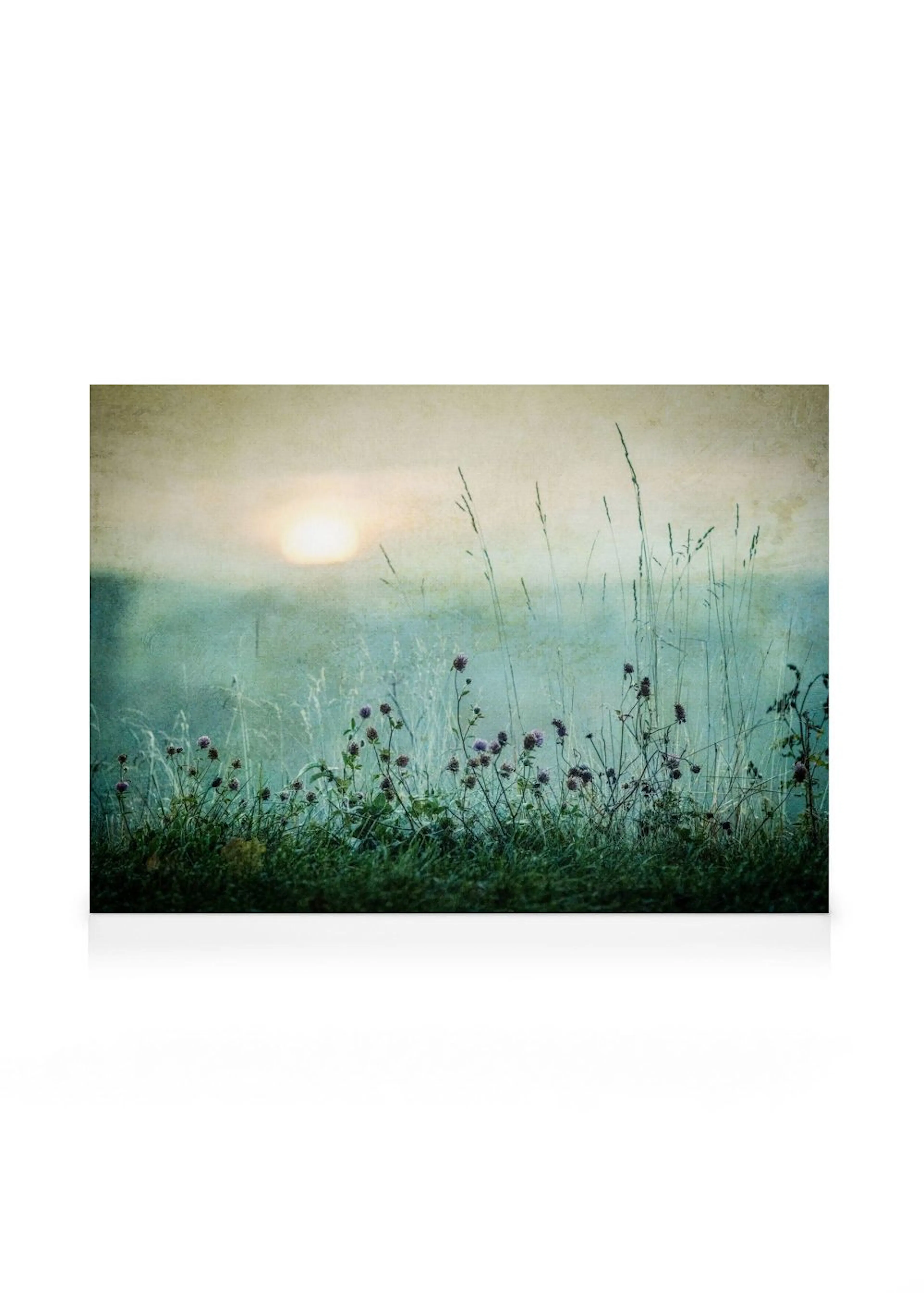 Canvas print of a meadow at dawn with sun, grass, and purple flowers silhouetted against a misty blue and green background.