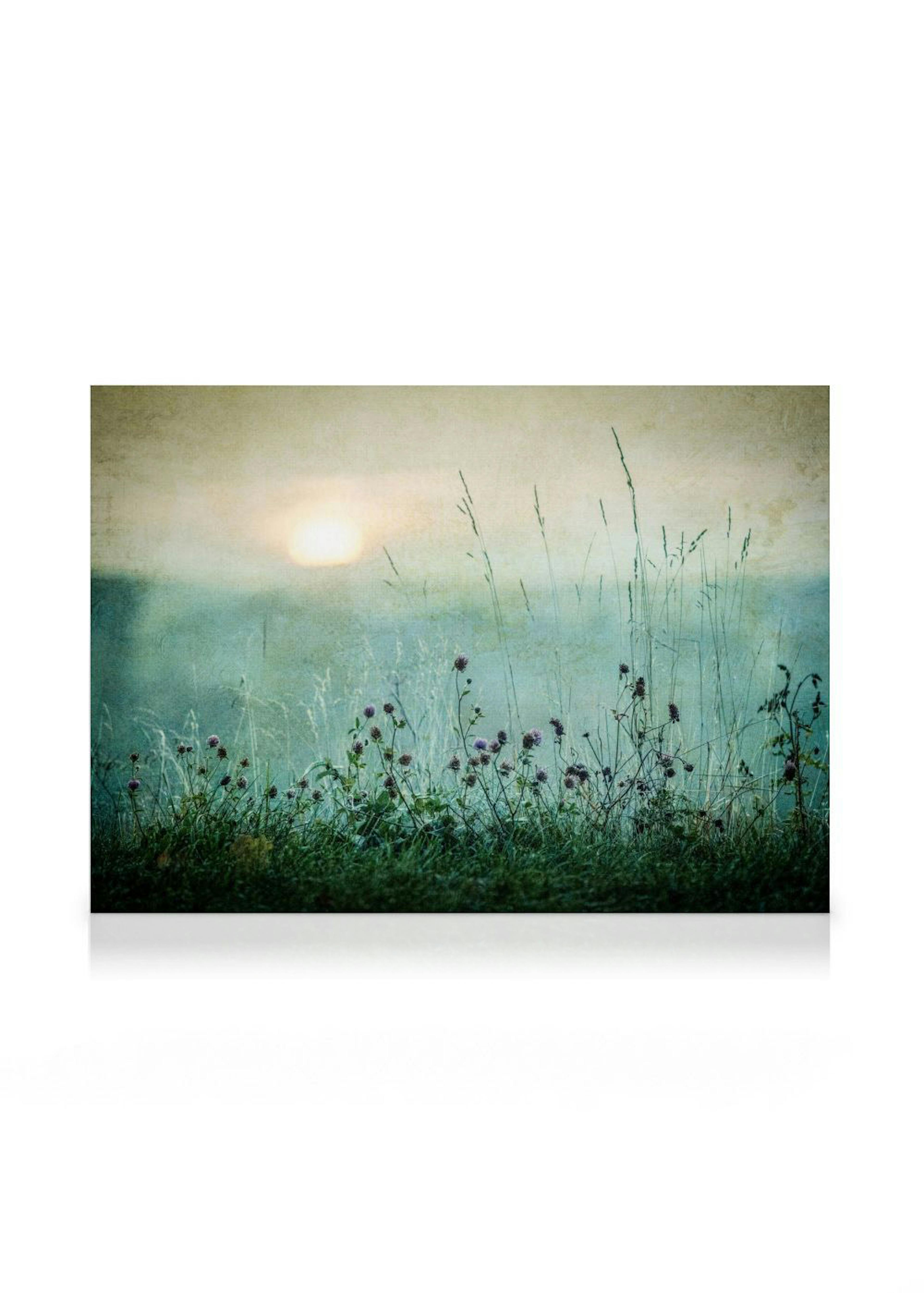 Meadow In Dawn Canvas 0