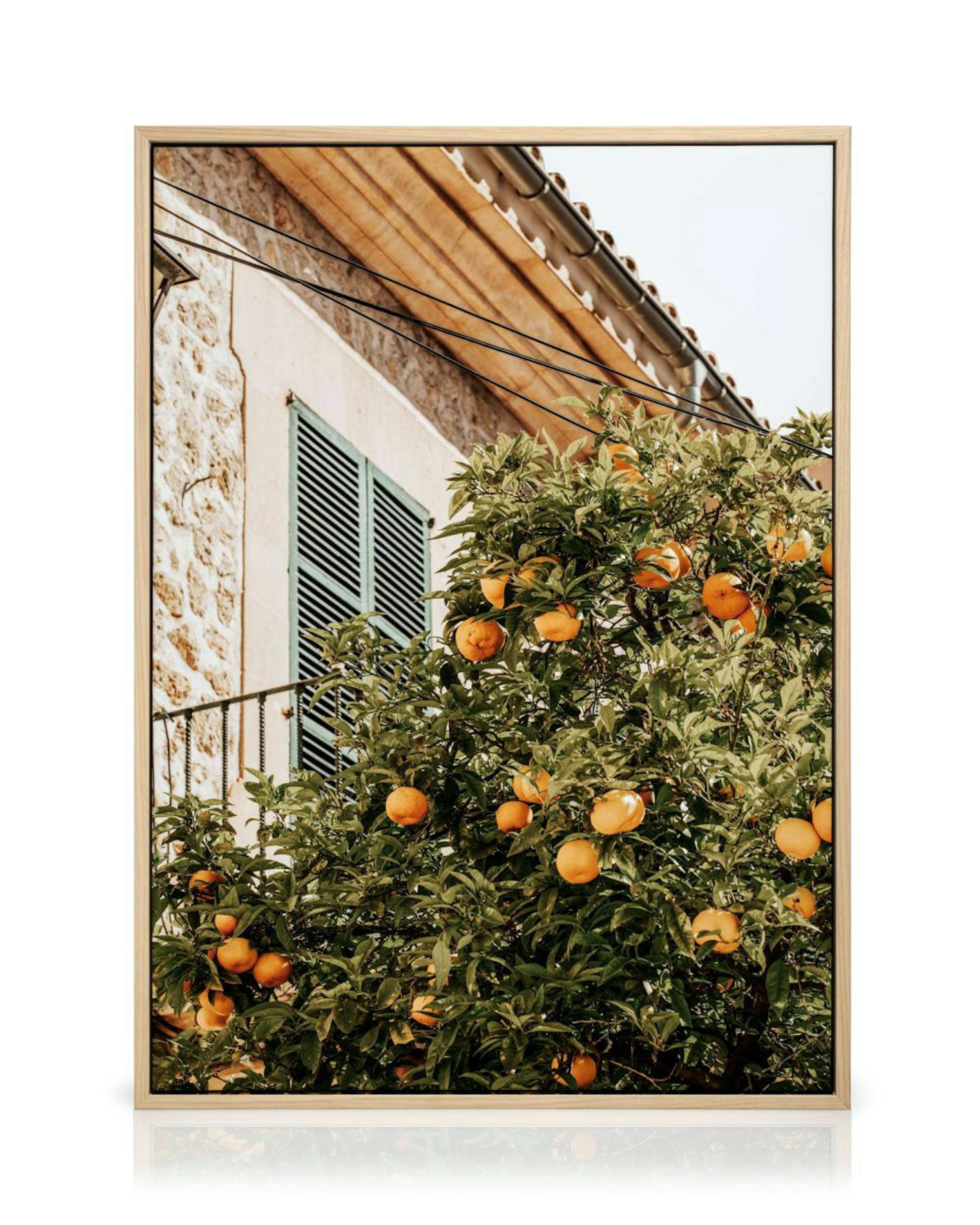 Product image: 2