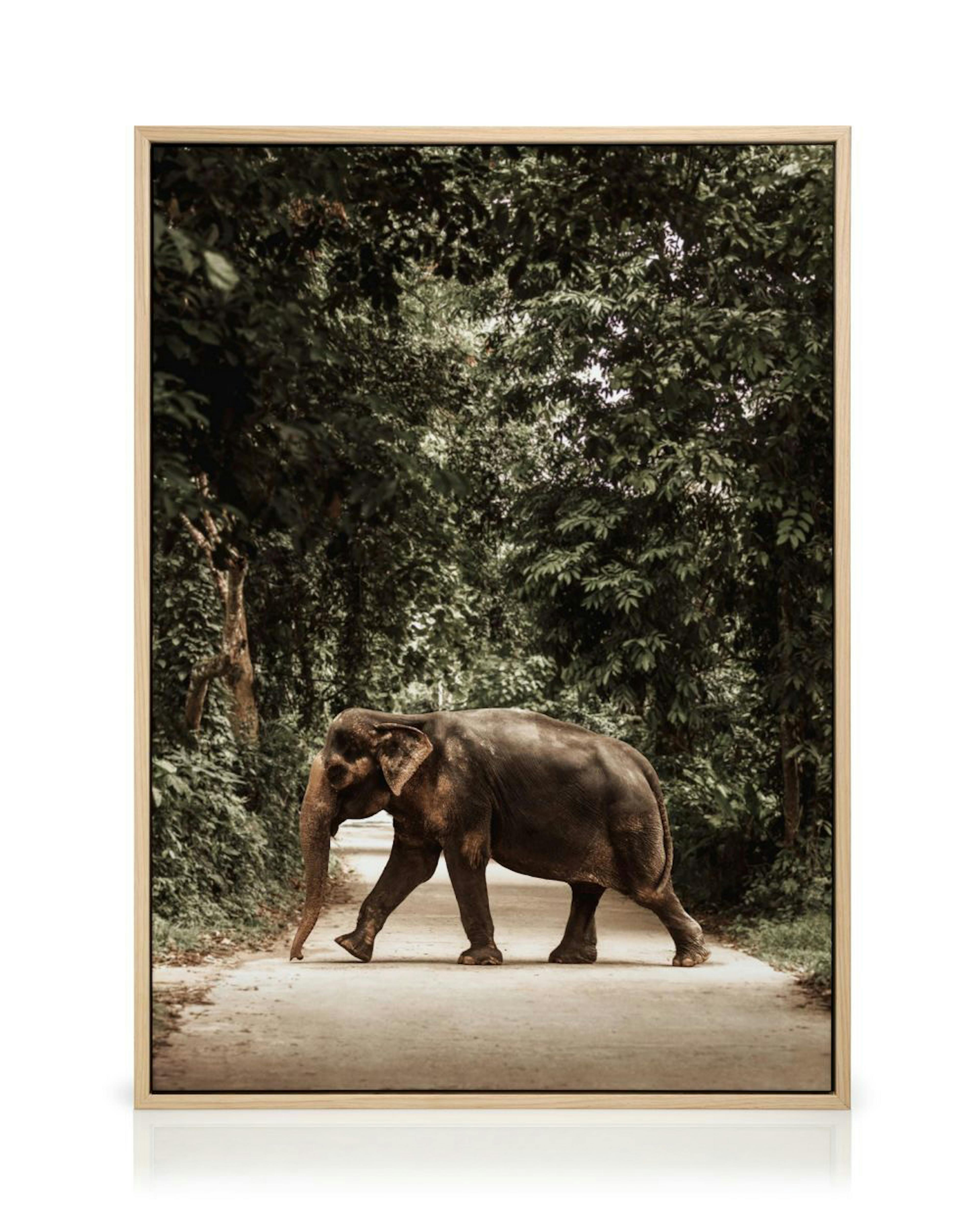 Product image: 2