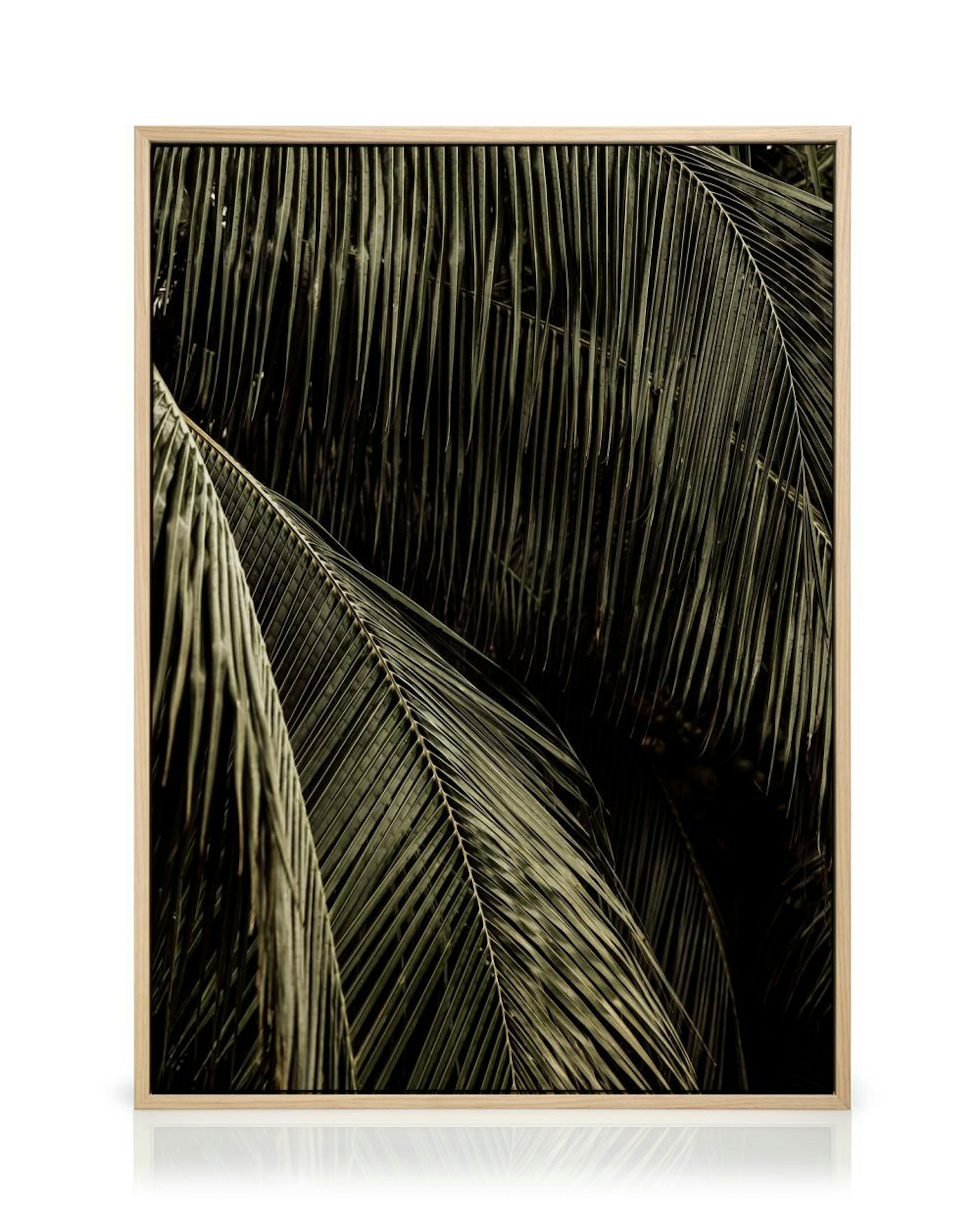 Product image: 2