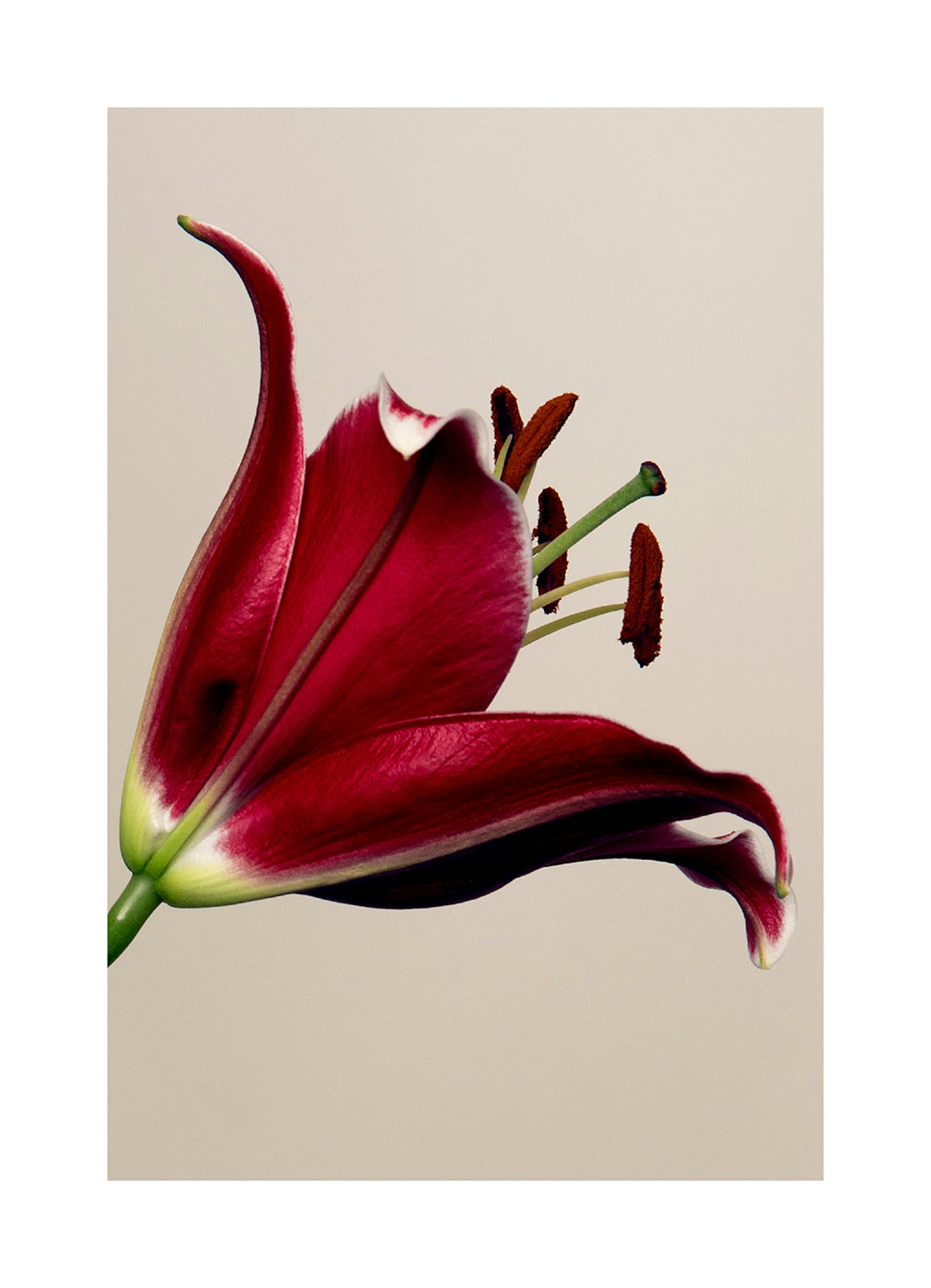 Product image: 1