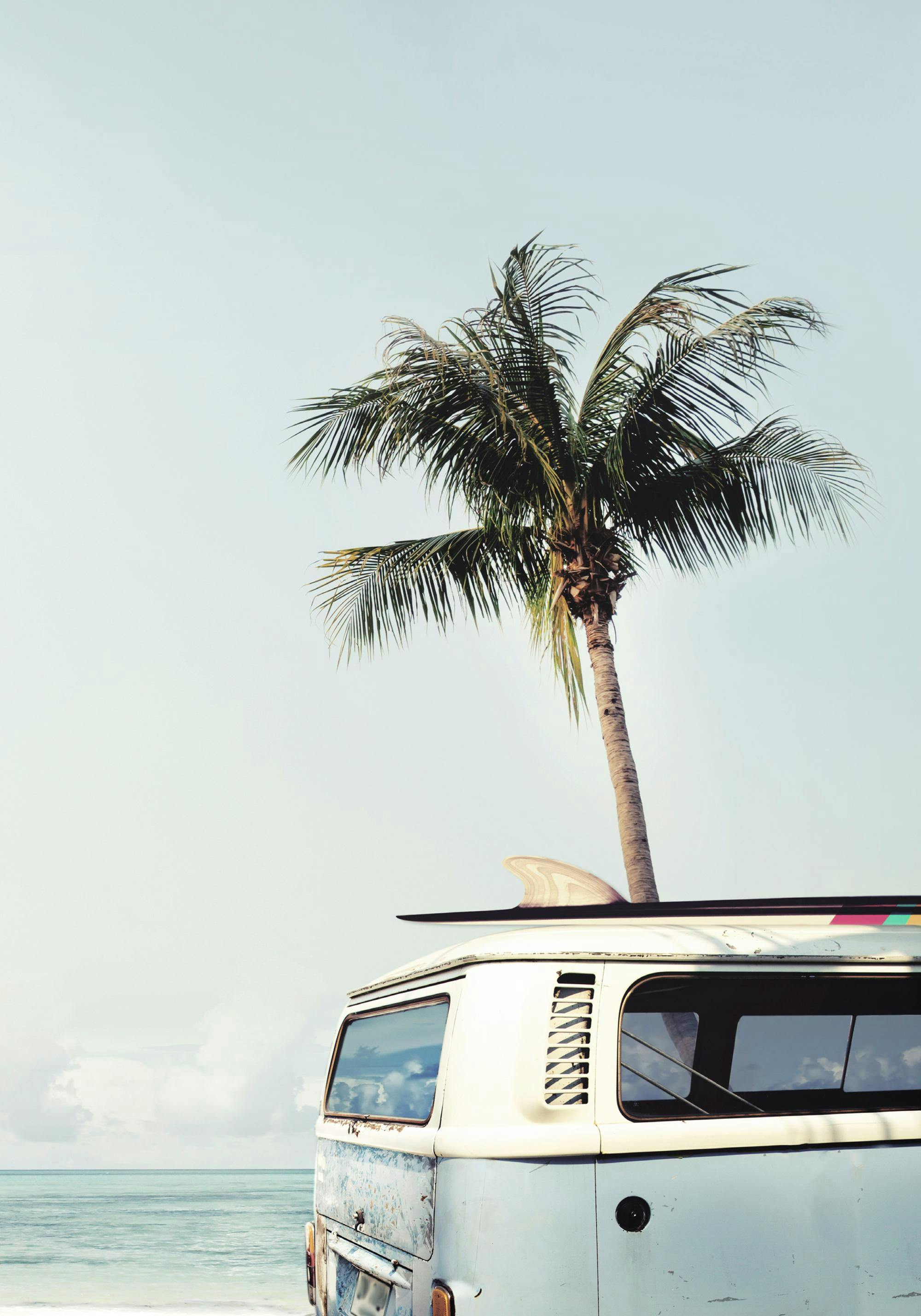 Surfers Van Poster Photo poster featuring palm trees and a beach