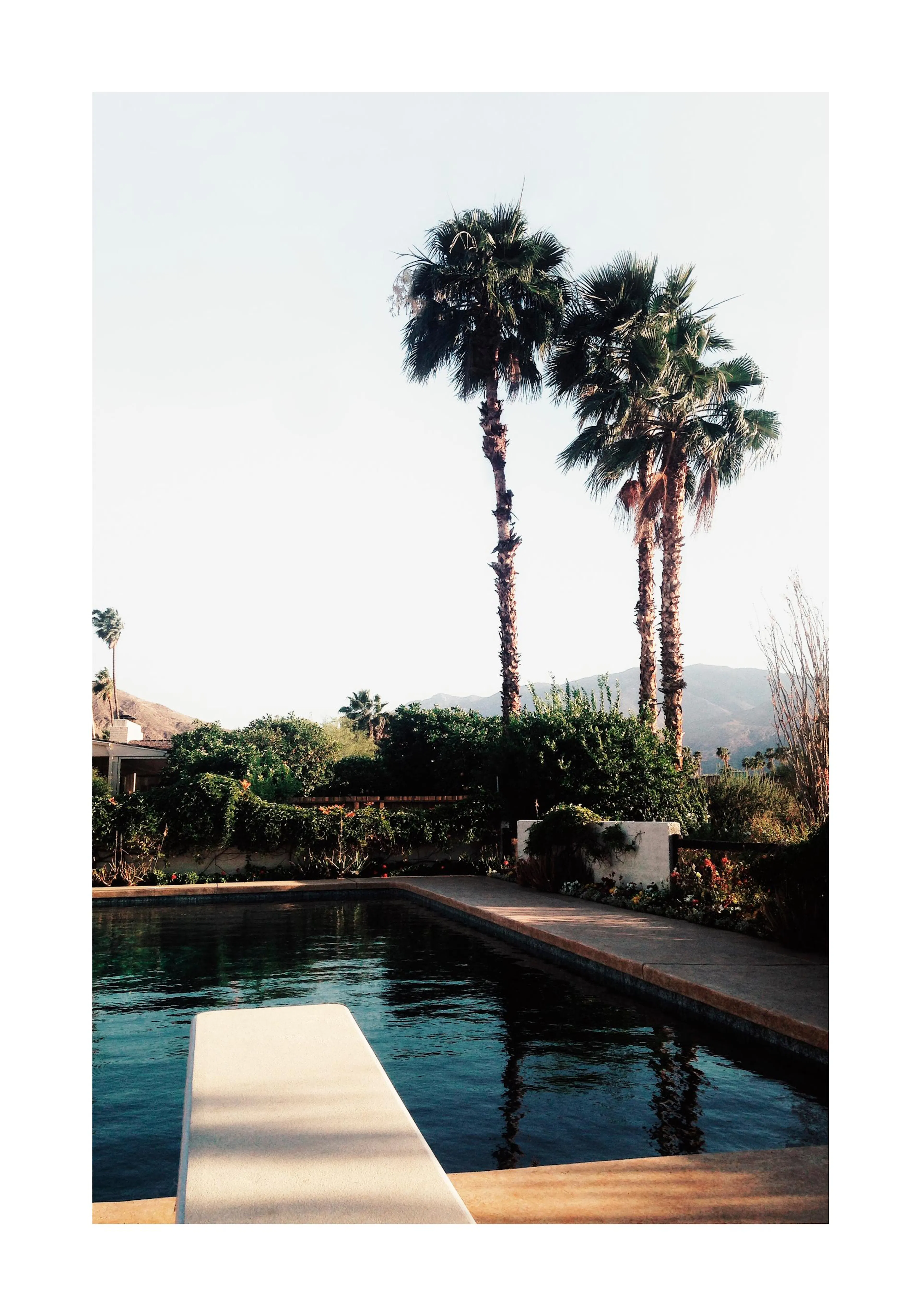 Palm Springs pool print with palm trees and a diving board, perfect for a poster.