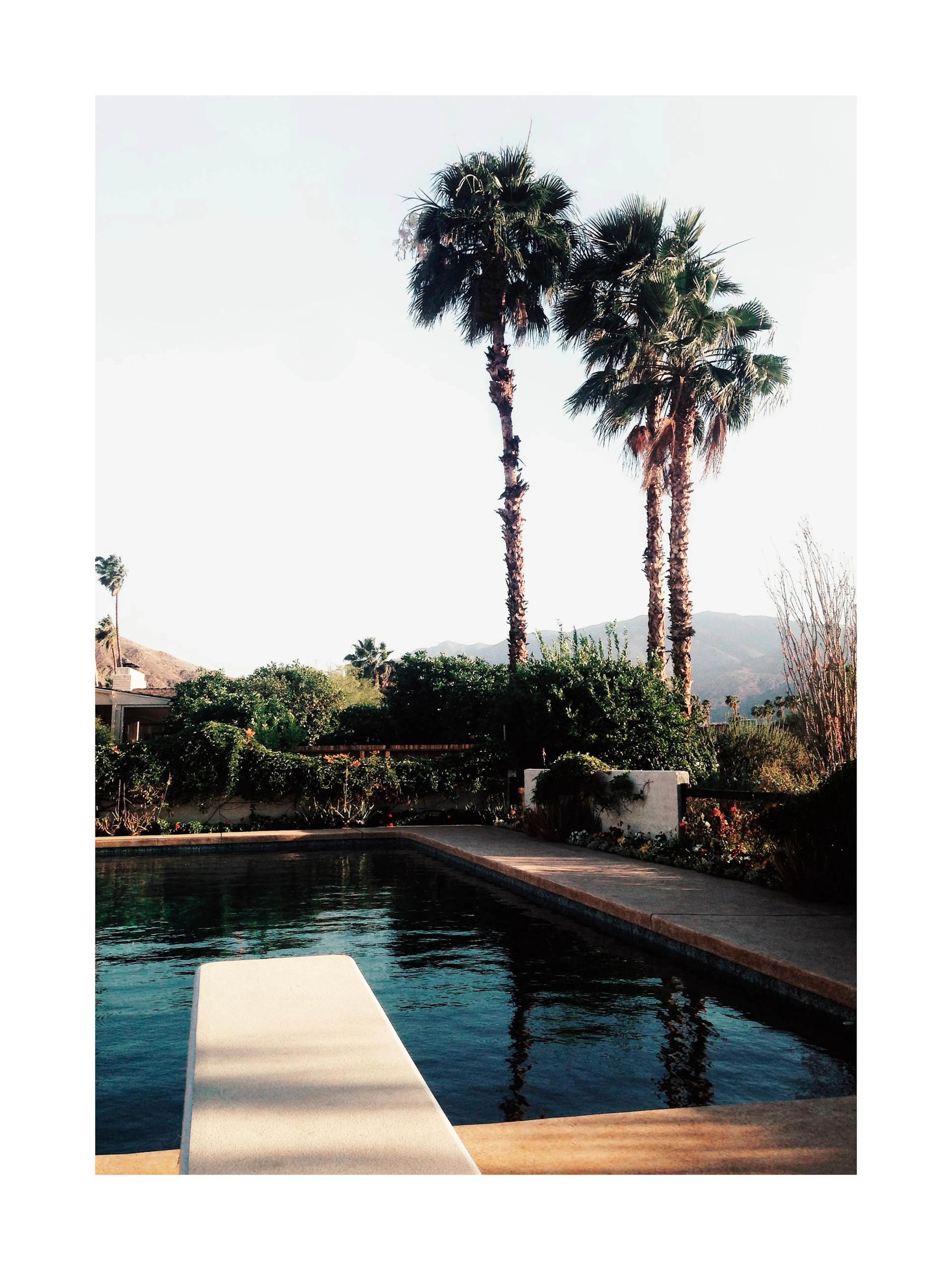Fotografi av en pool i Palm Springs med dykbräda och palmer mot en klar himmel, exotisk miljö.