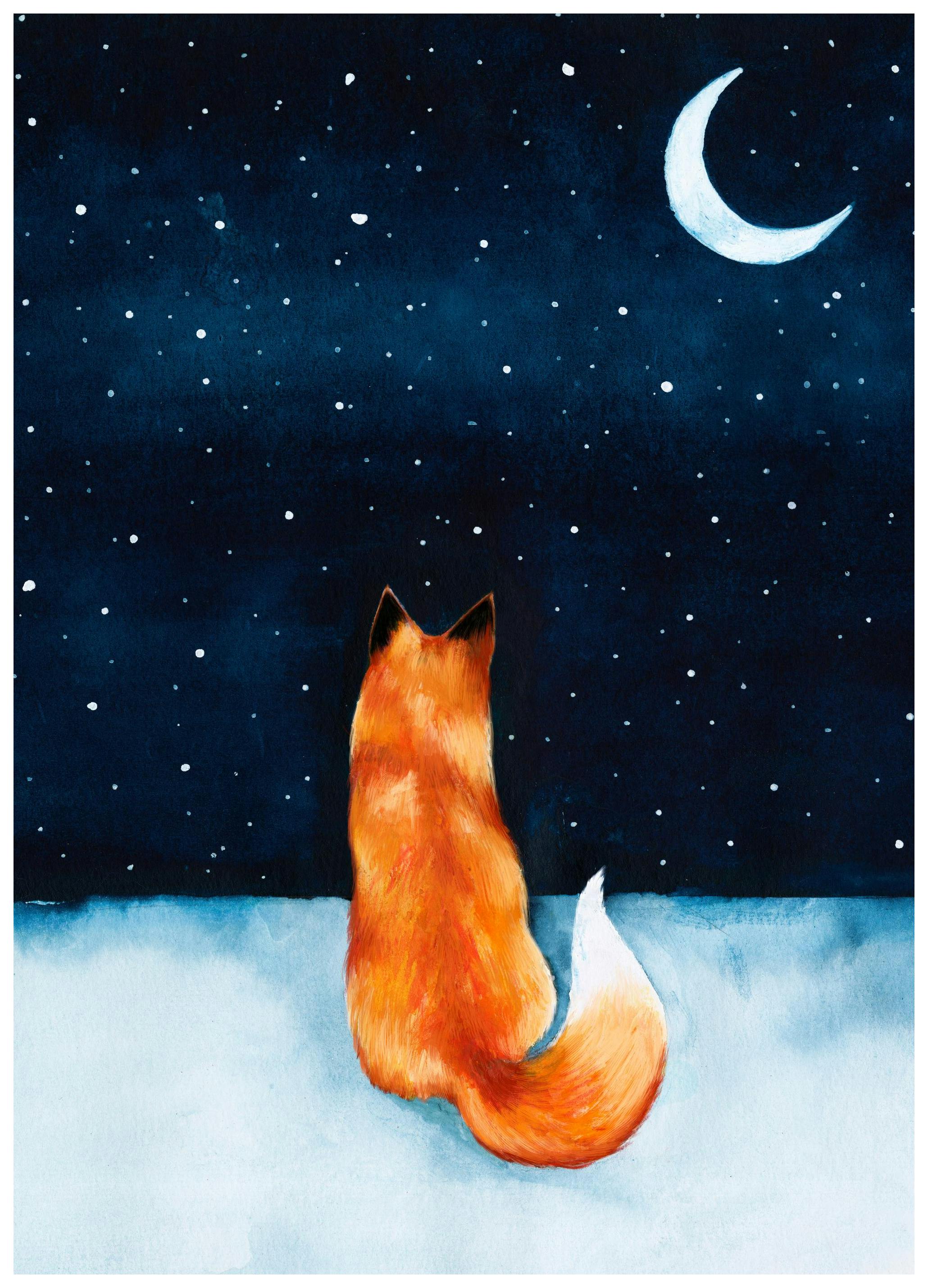 Night Fox Affiche (30x40 cm) - Affiches pour enfants