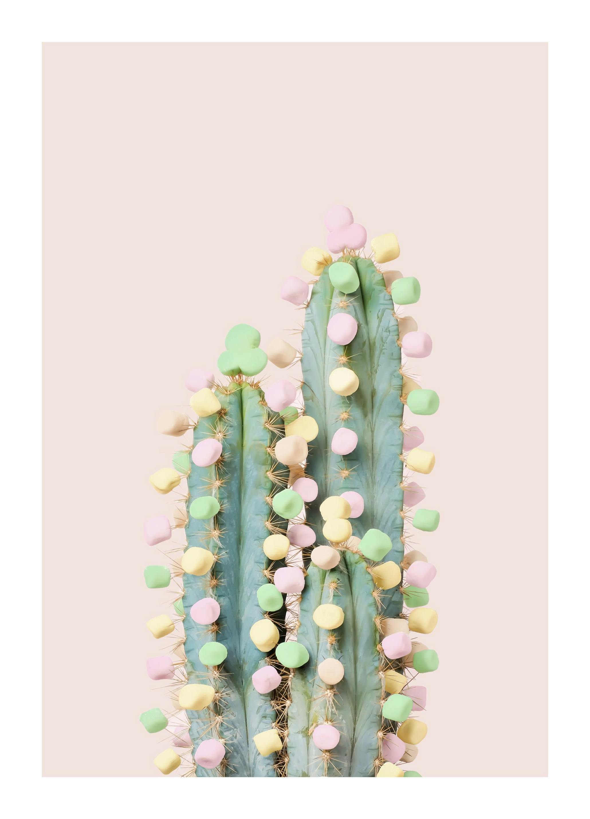 Candy Cactus Print (21x30 cm)
